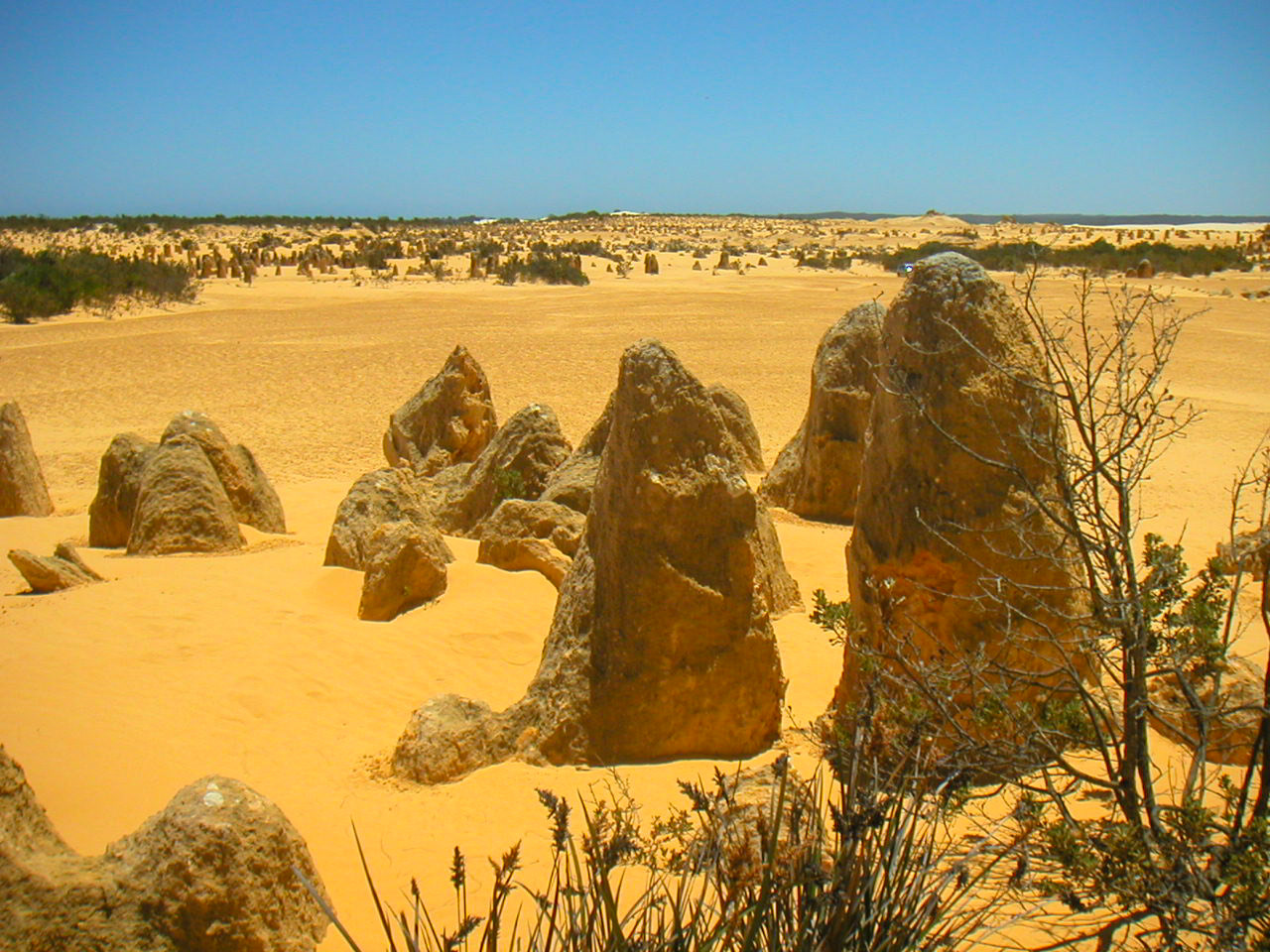 Pinnacles Nambung National Park Western Australia