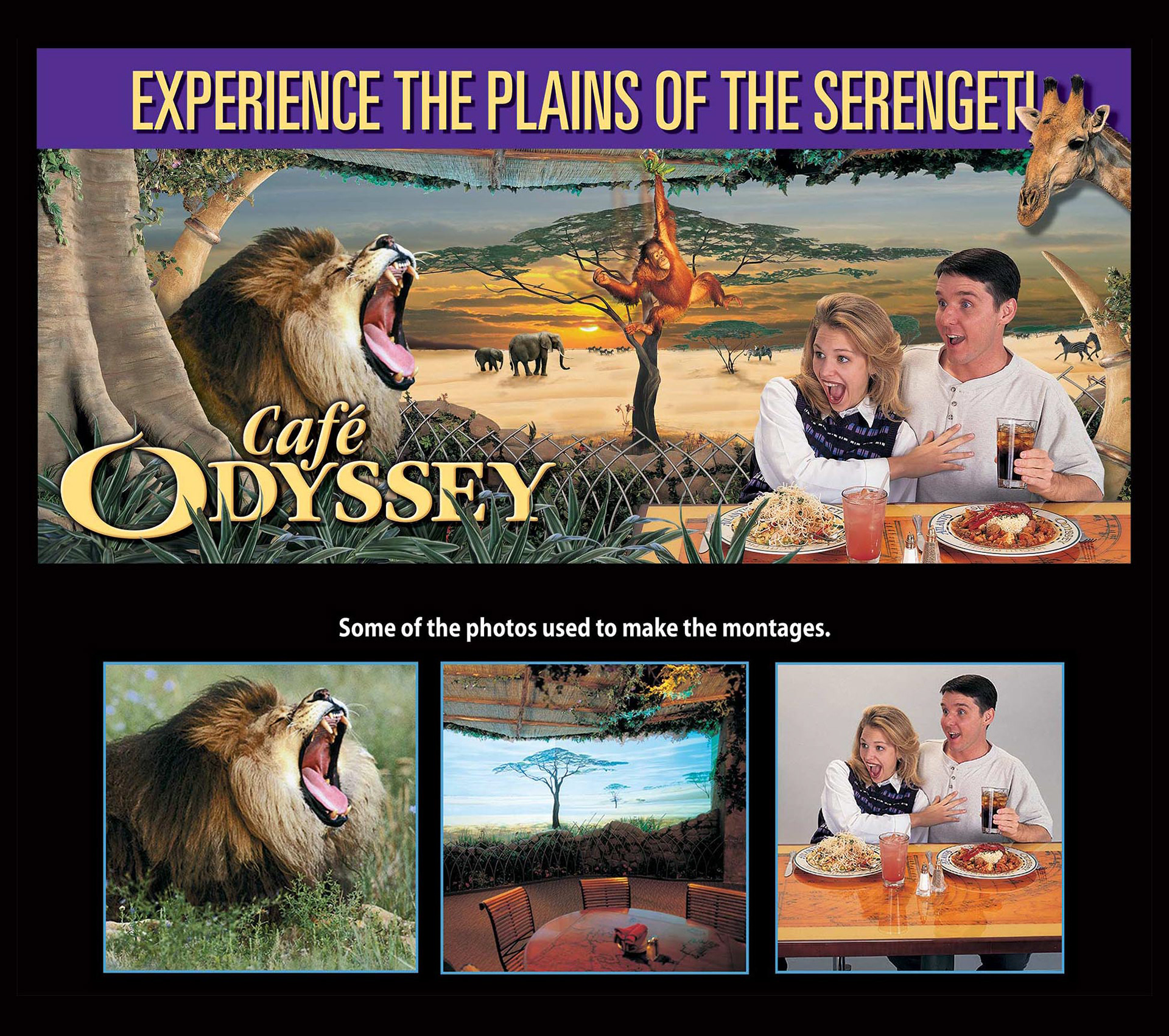 Photomontage and design