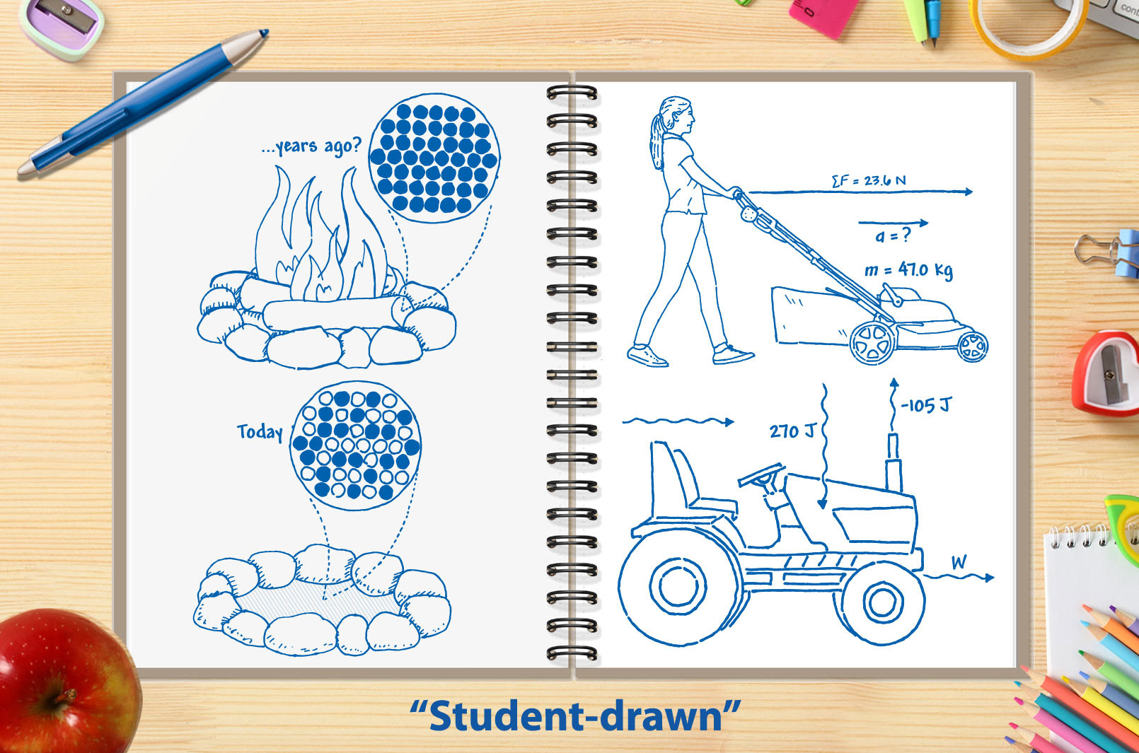 Science ink drawings for Pearson to look like they were drawn by students.