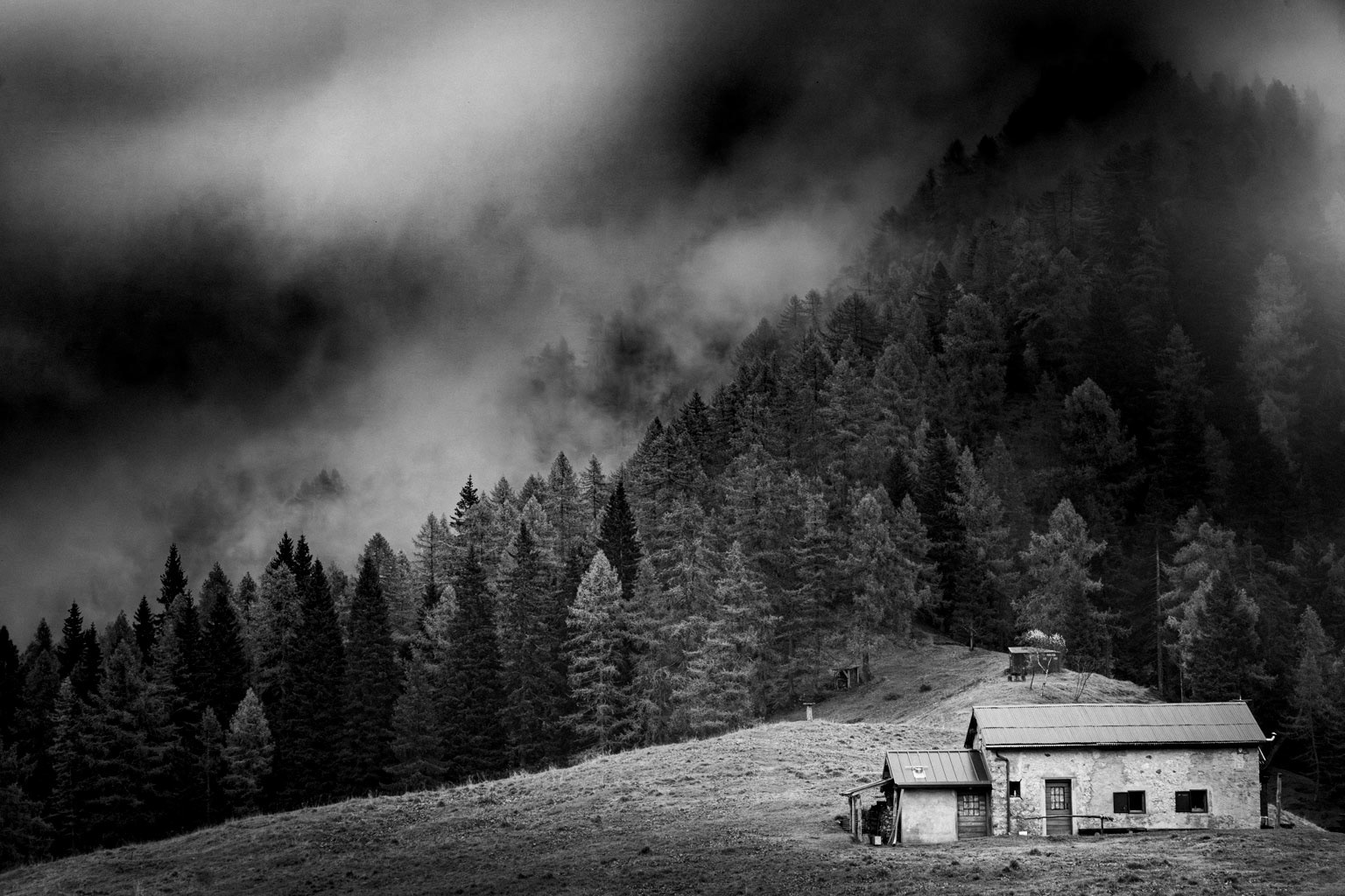 Little hut
