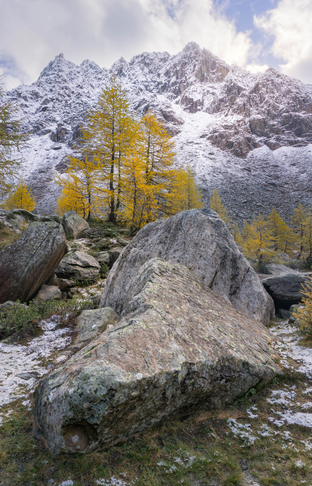 Rocks and larches