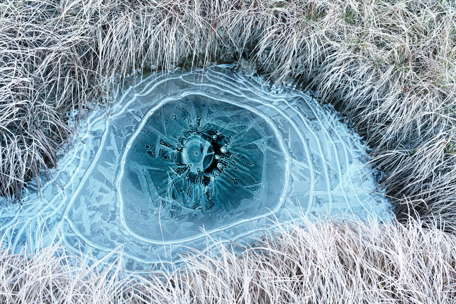 Icy gaze