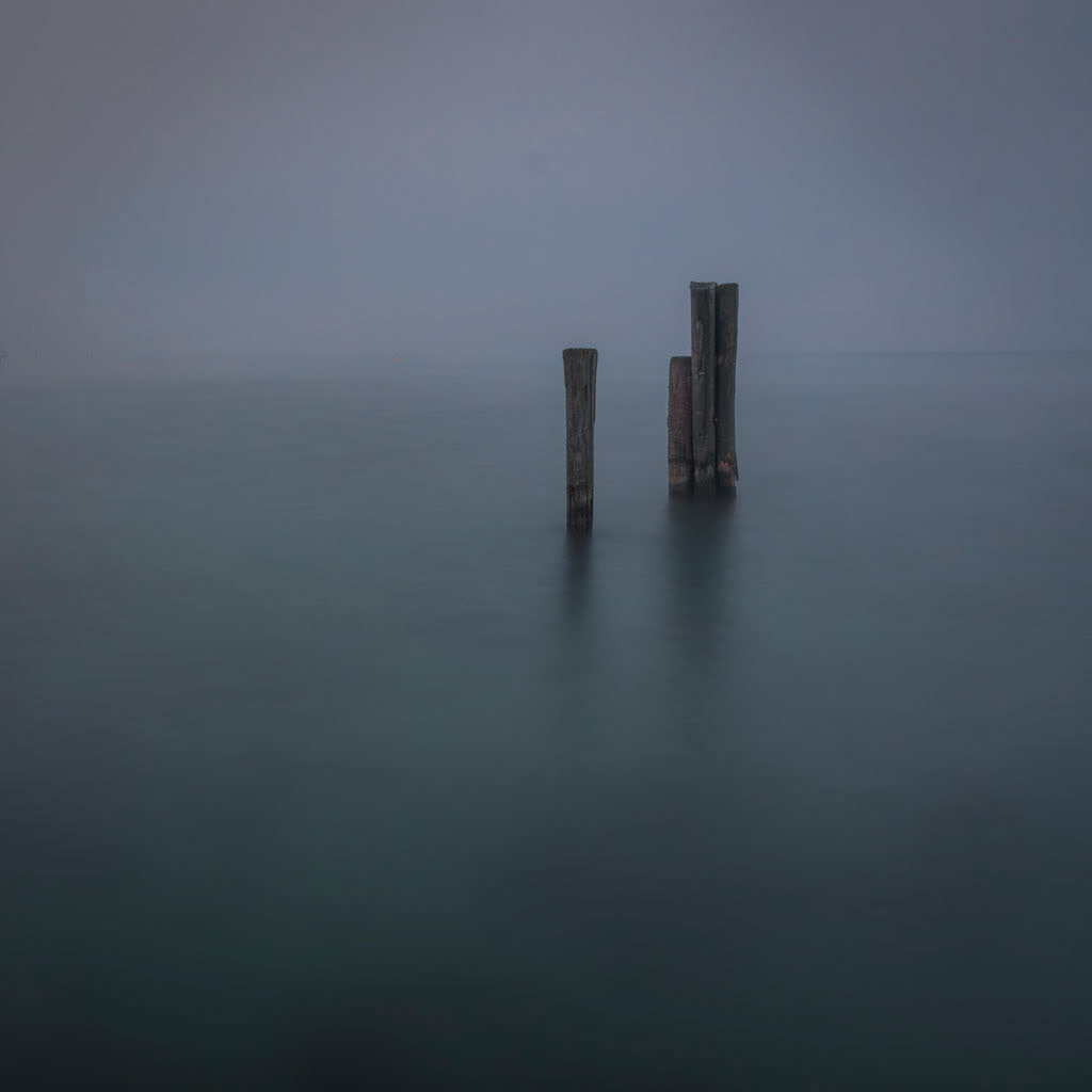 Poles in the lake
