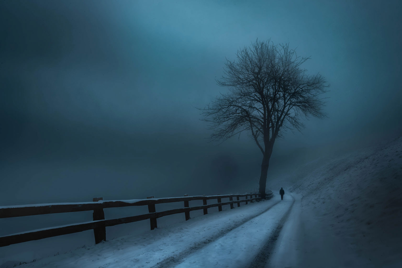 Walking in a Misty Day