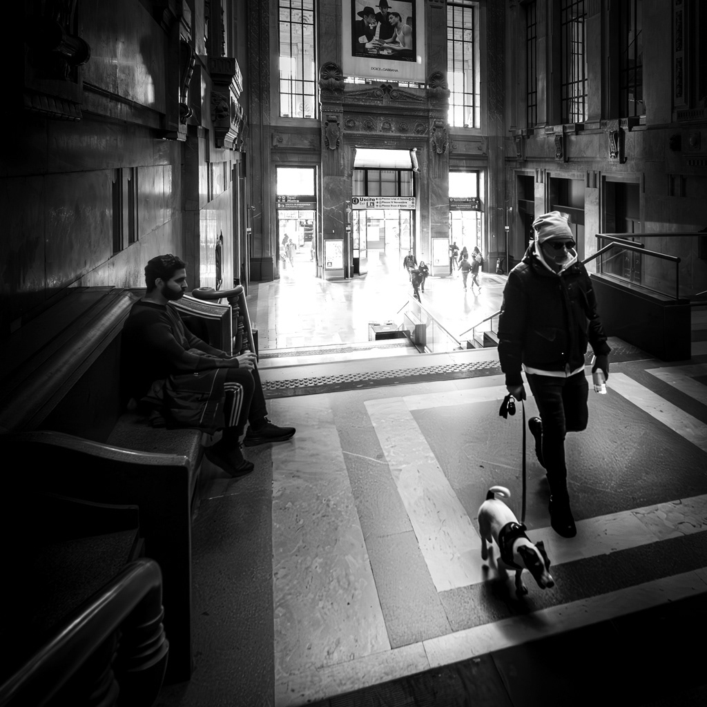 Dog in the railway station