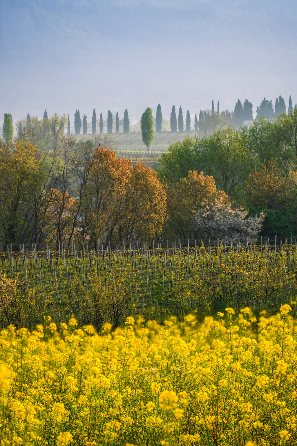 Franciacorta