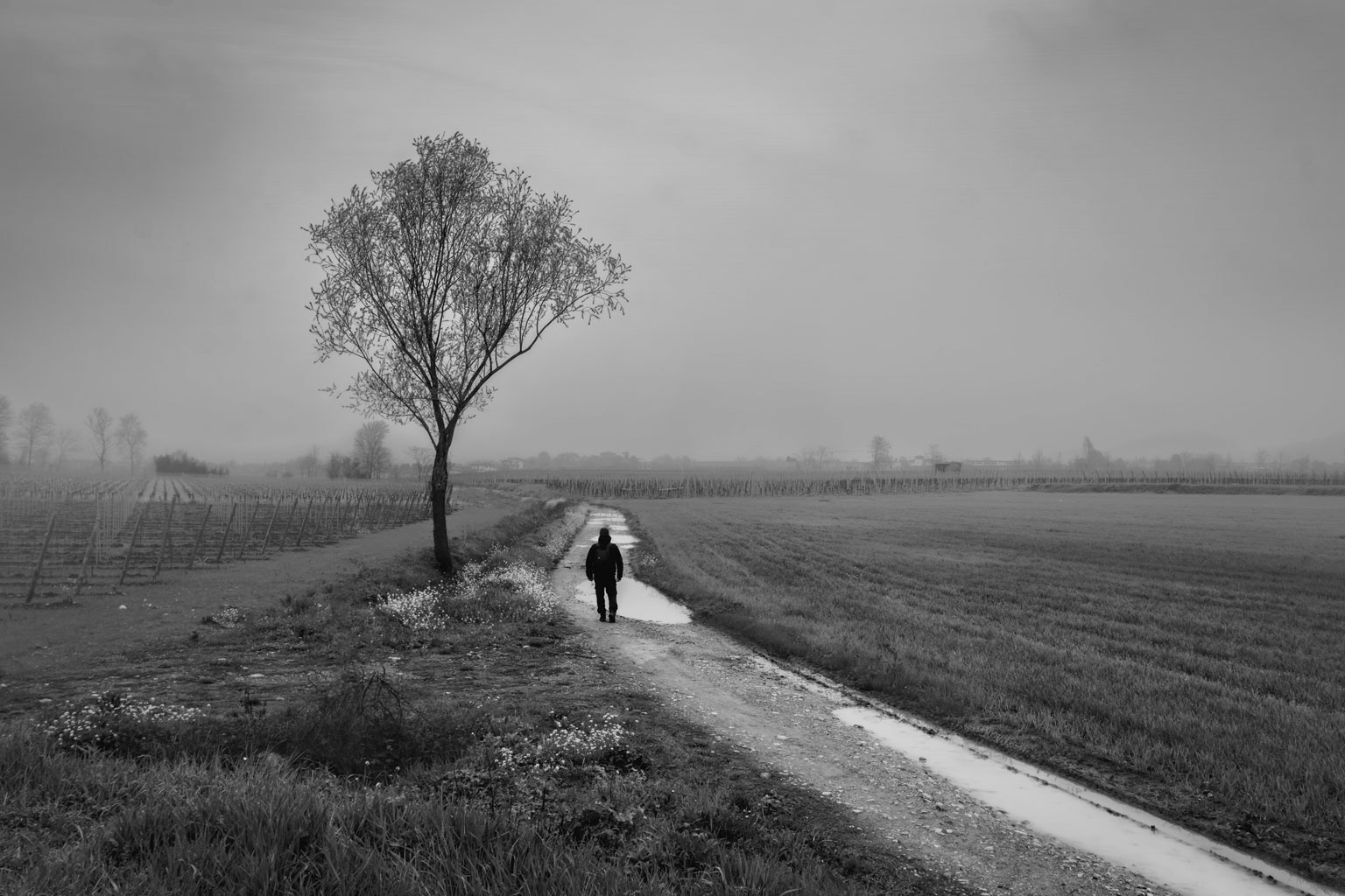Walking alone