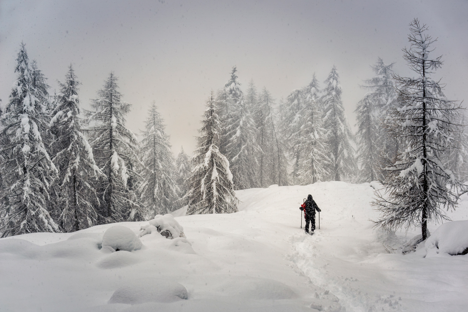 In the snowstorm