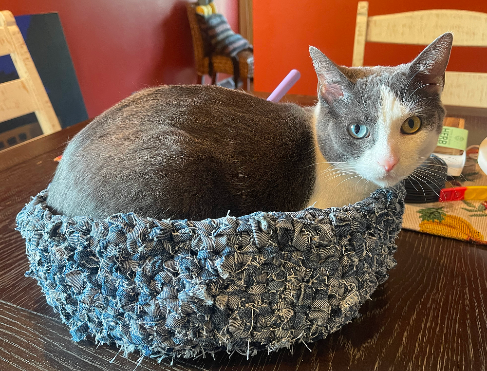 Denim Crochet Basket