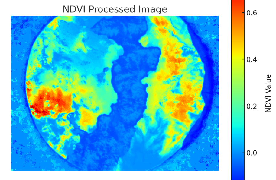 Red spots show areas with high density of algae