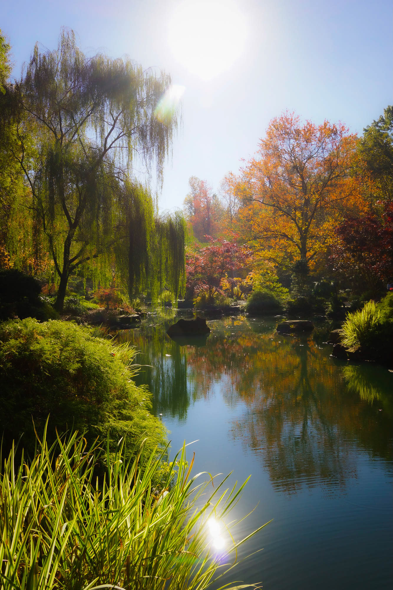 Gibbs gardens, Ball Ground, GA