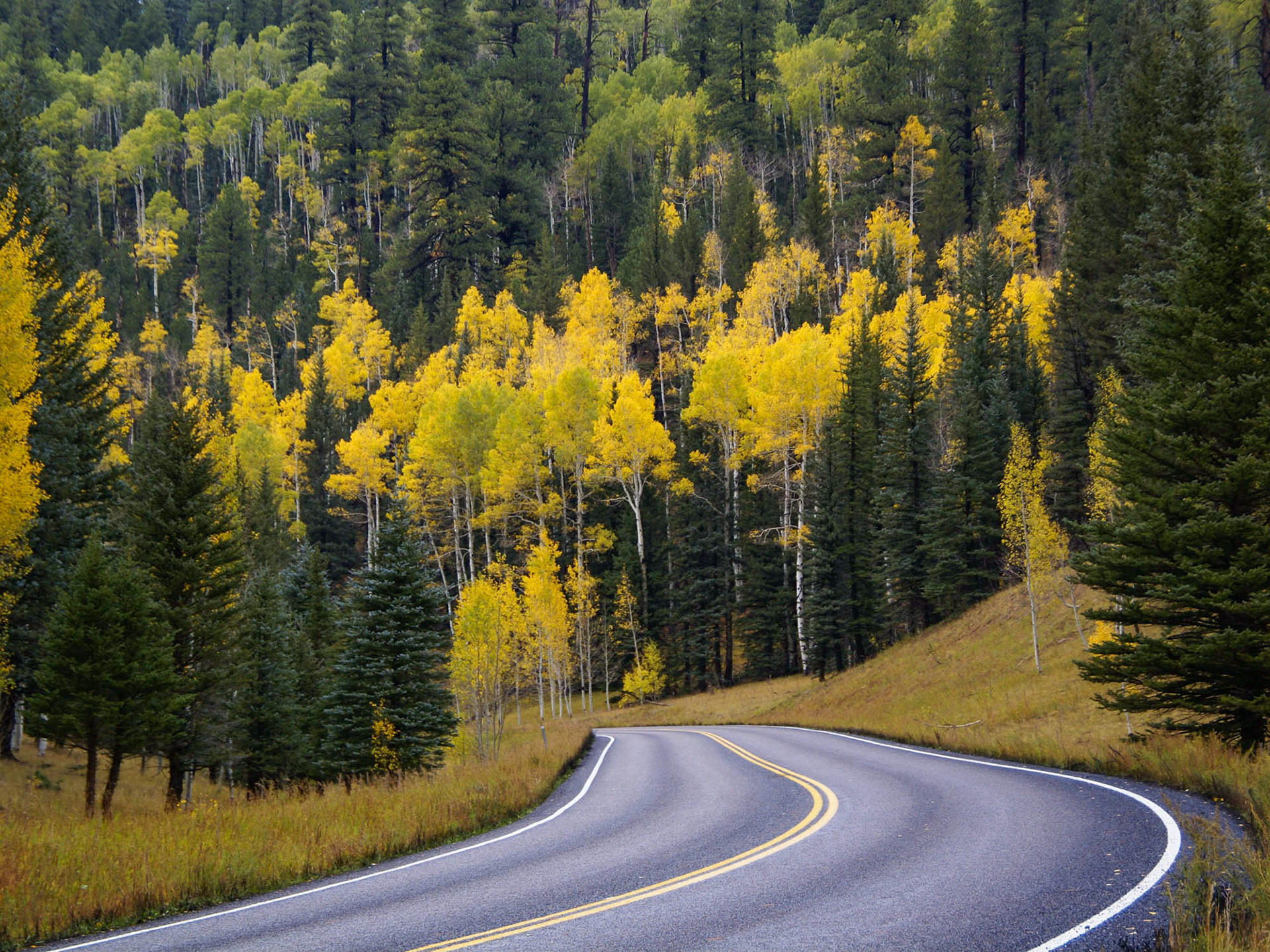 The road to the North rim of the Grand Canyon
