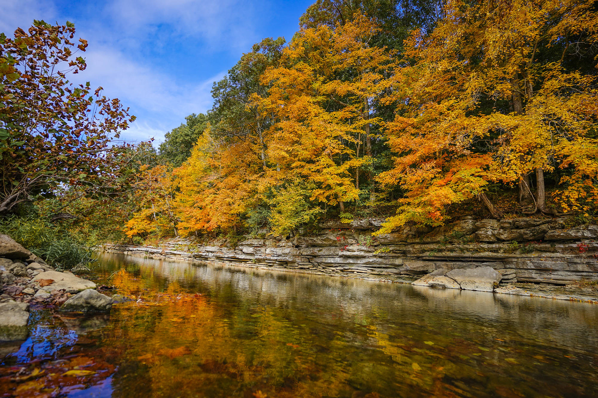 Blue river, Harrison-Crawford state forest, Indiana