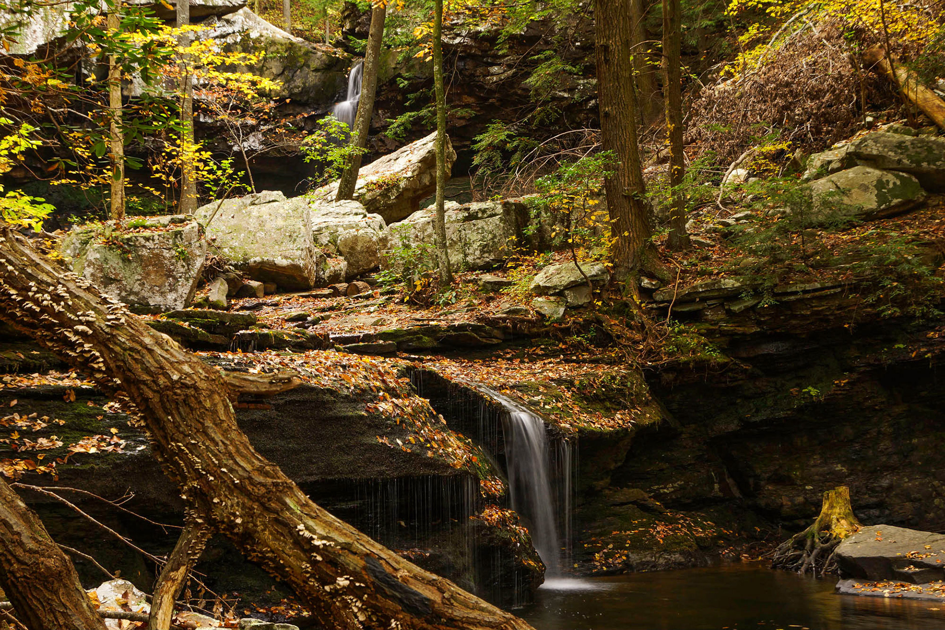 Cloudland Canyon, Northwest Georgia