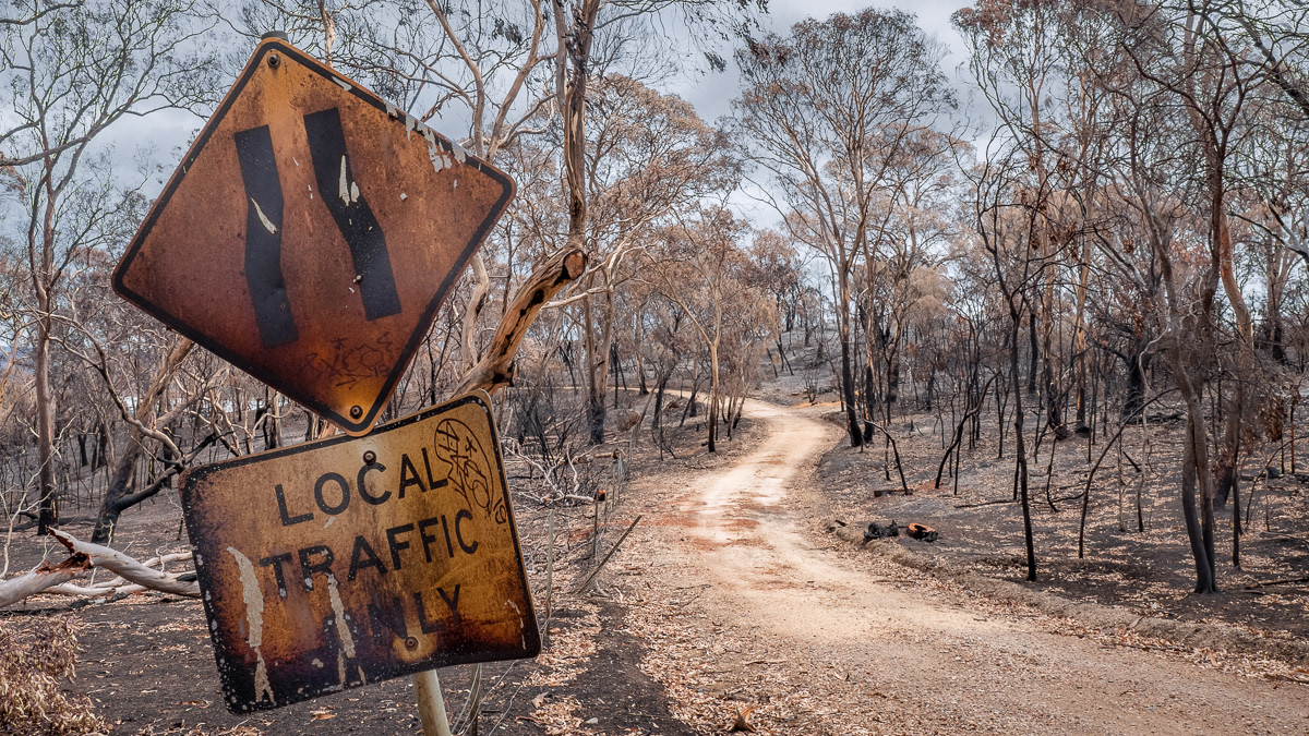 After the fires - Adelaide Hills - December 2019
