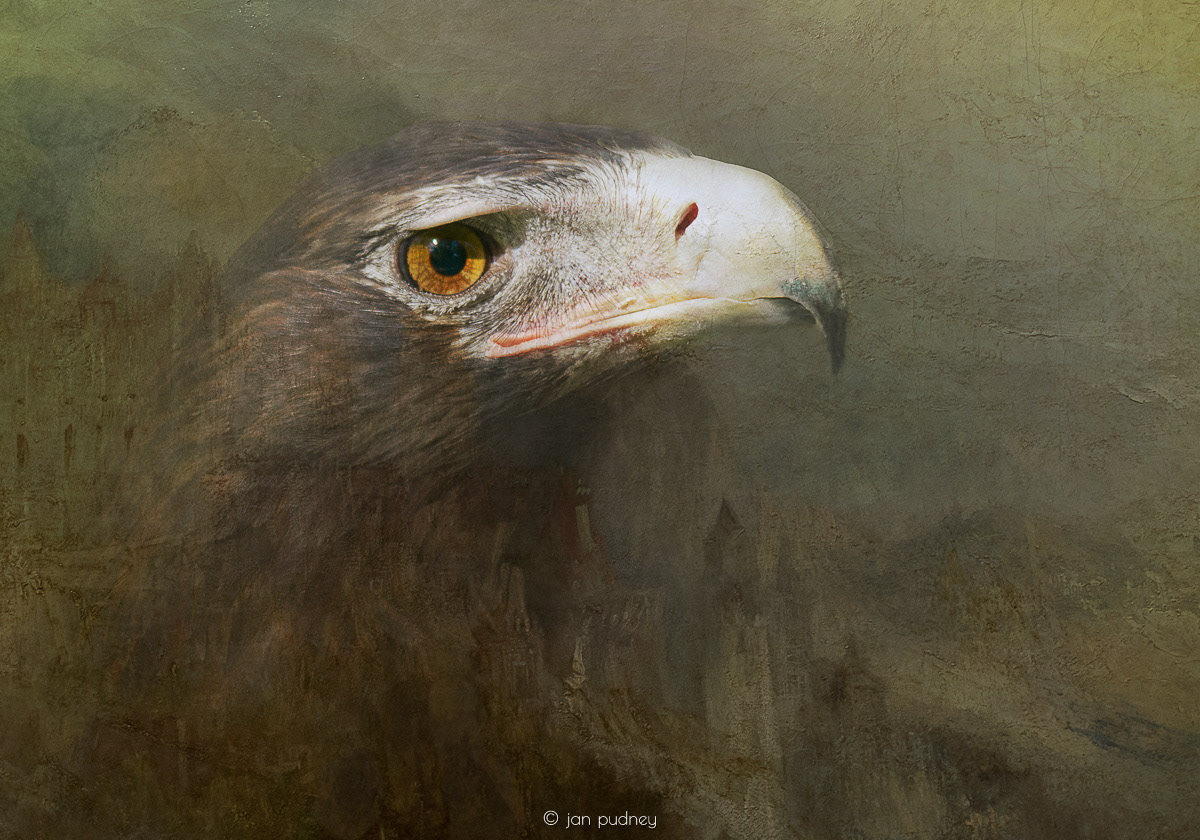 Guardian