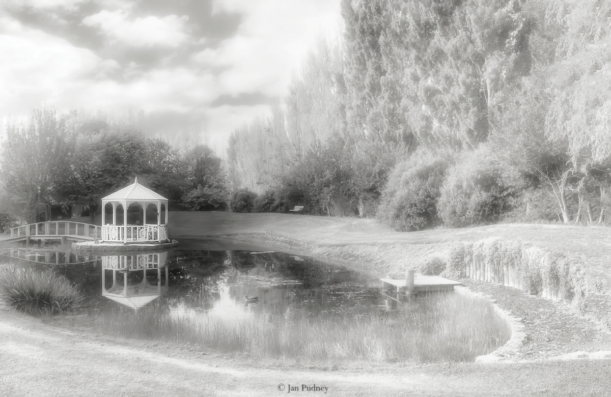 Pond at Olive Grove cottage