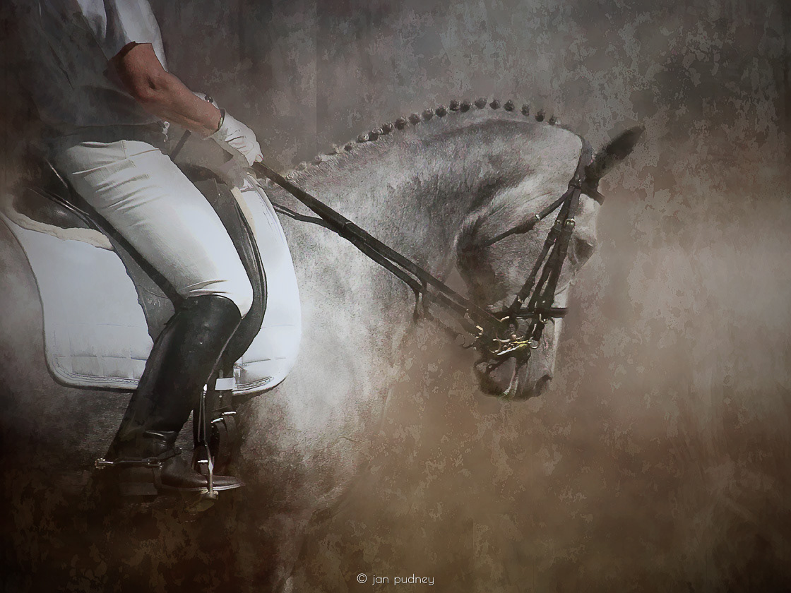 Dressage