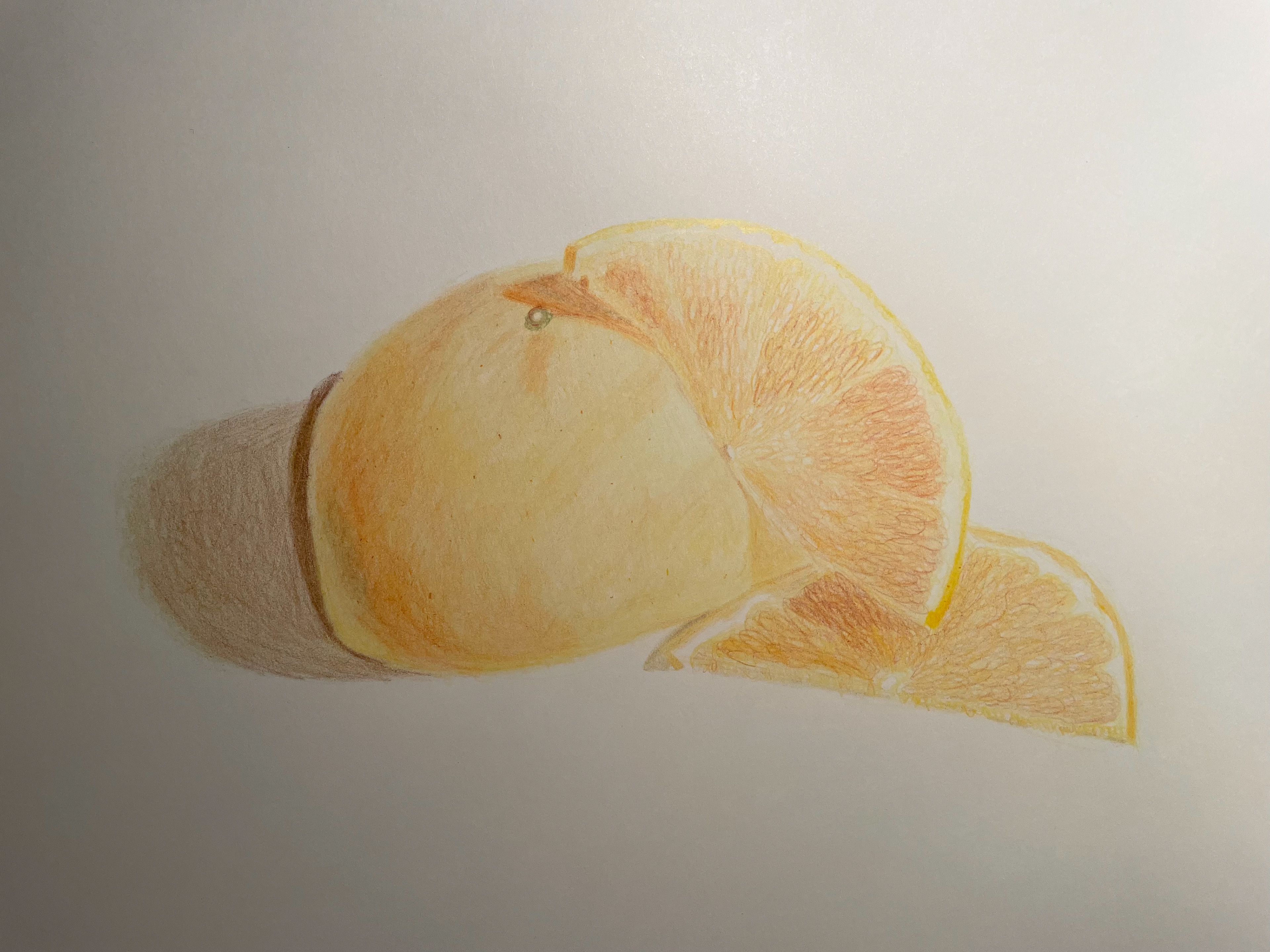 Dissected Still Life | 2021 | Colored Pencils on Paper | 14" x 17"