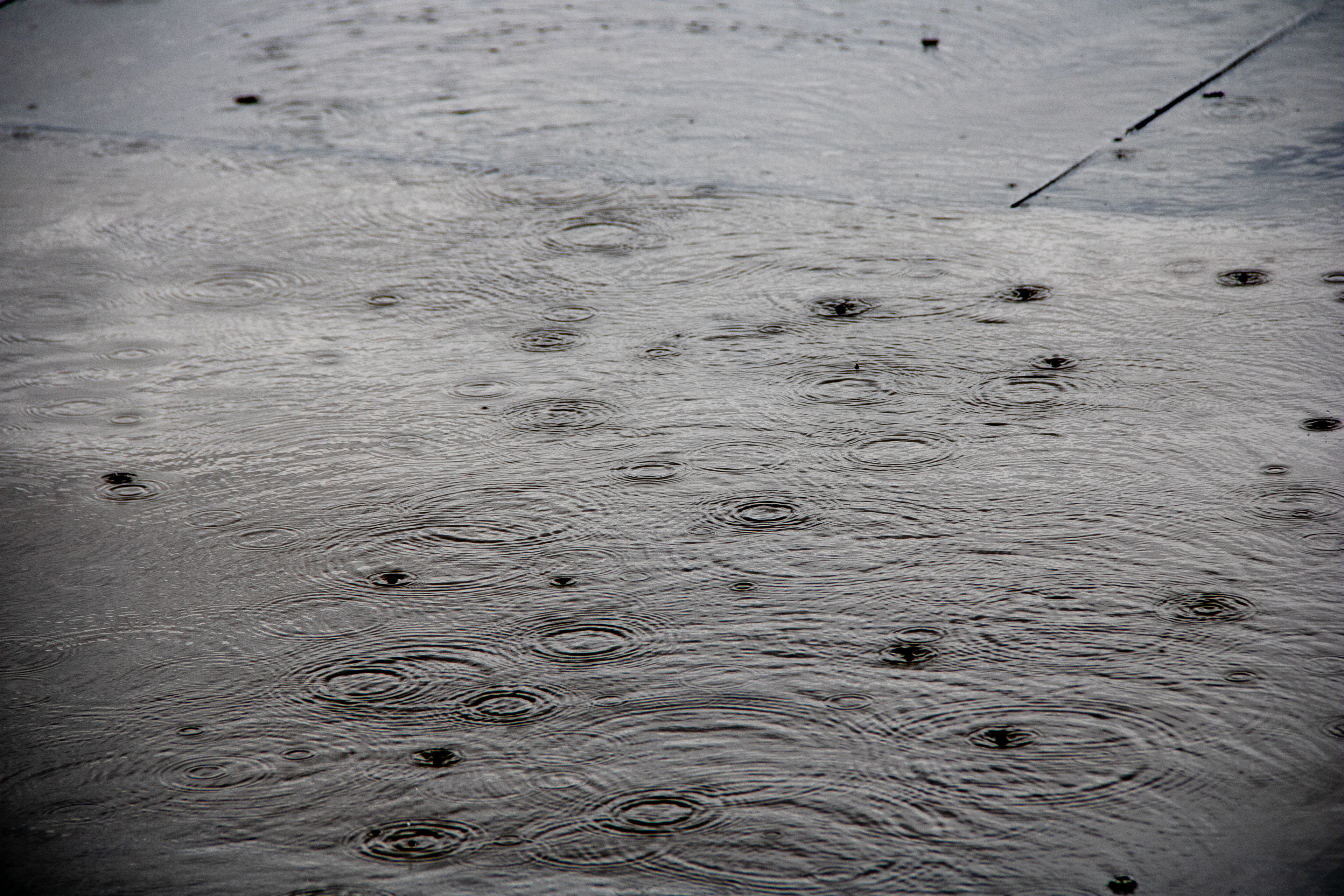 Nature's Tearful Ballet: Raindrop Serenade
