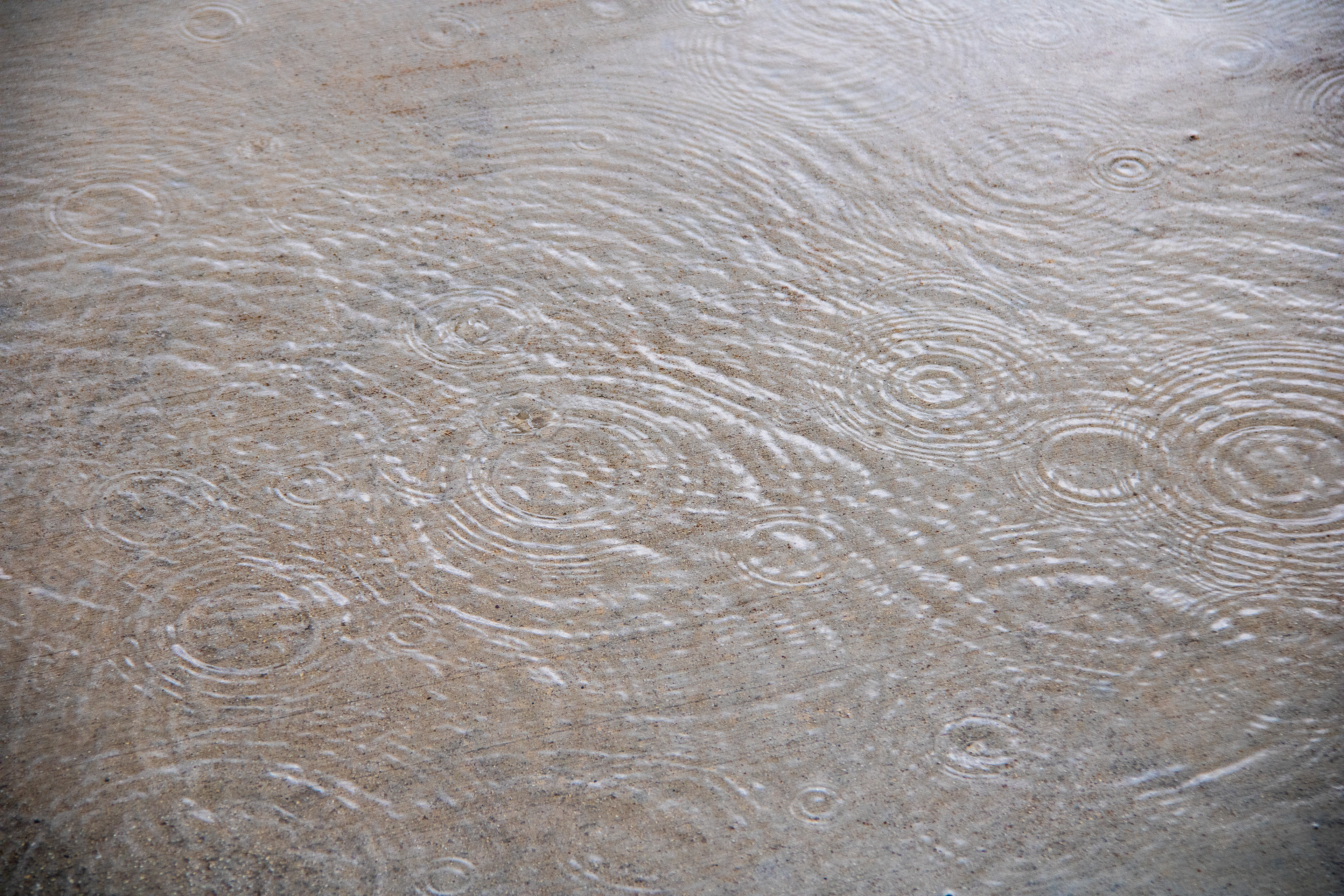 Rain-Kissed Earth: A Symphony of Droplets