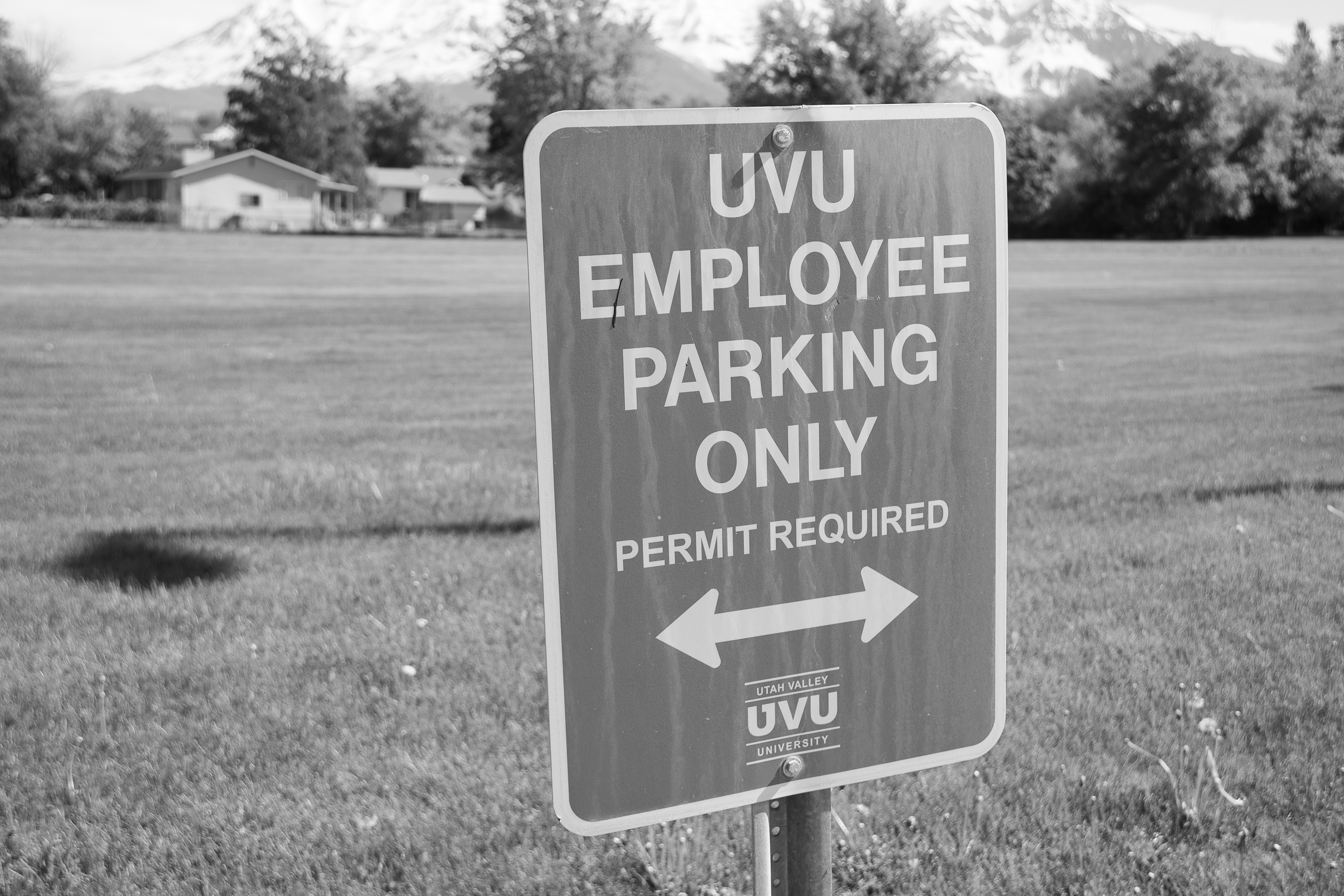 Nostalgic Elegance: Capturing Time's Patina on the UVU Employee Parking Sign