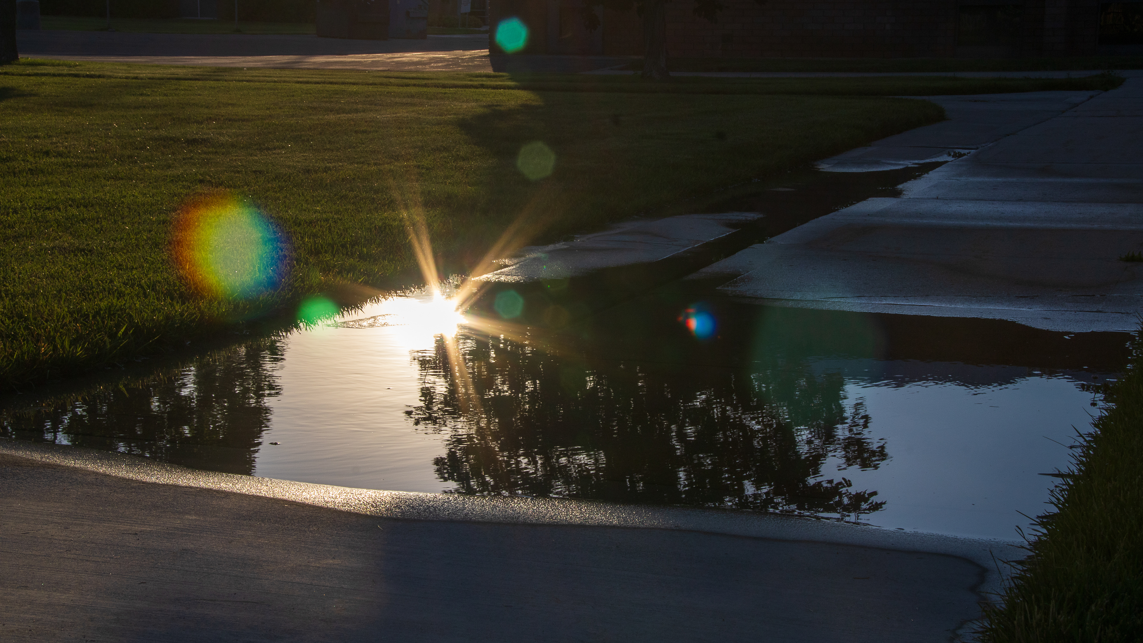 Ephemeral Emanations: Sunrise Captured in a Puddle