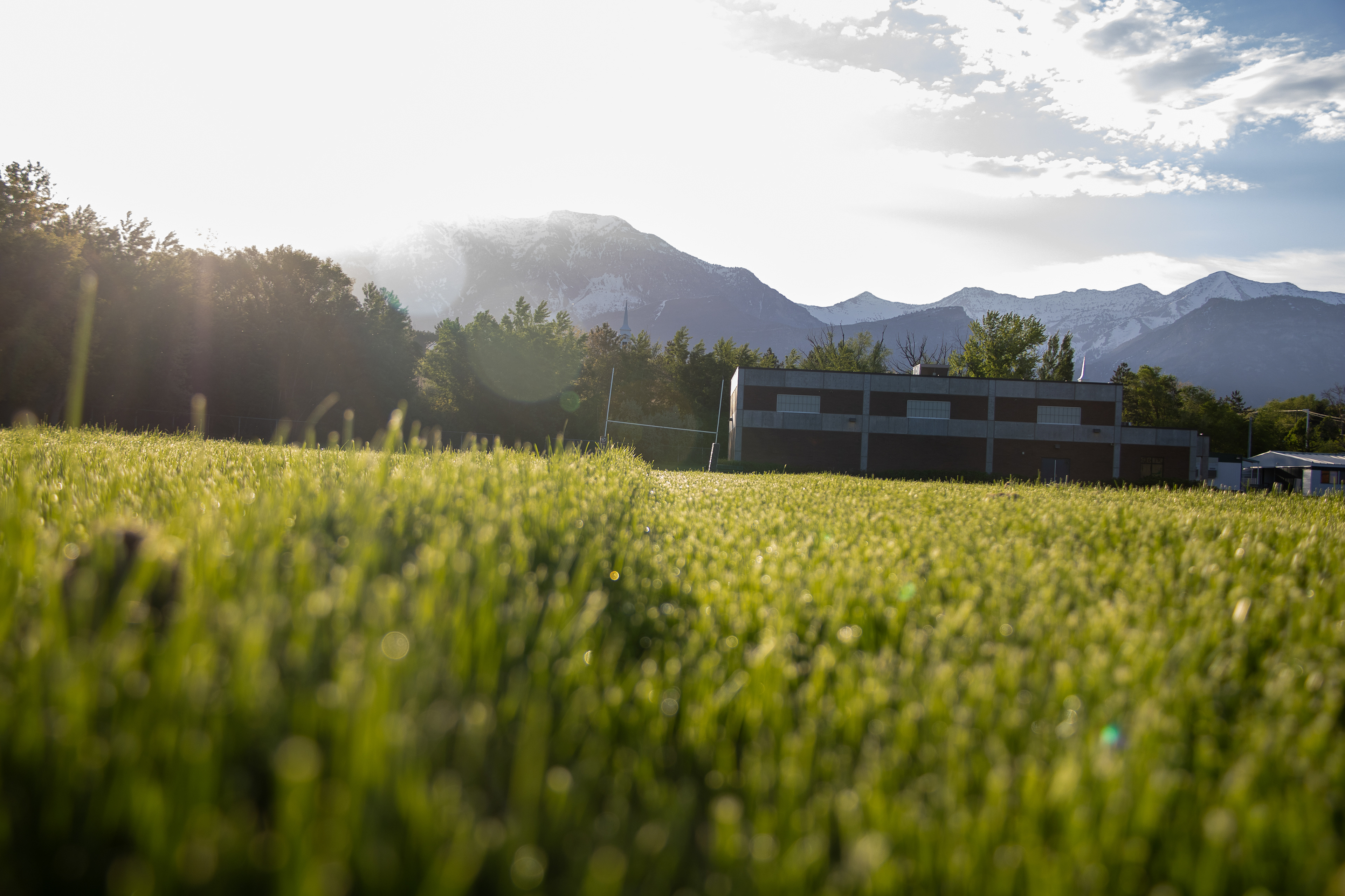 Ethereal Harmony: Sunlight's Embrace of Lush Landscape
