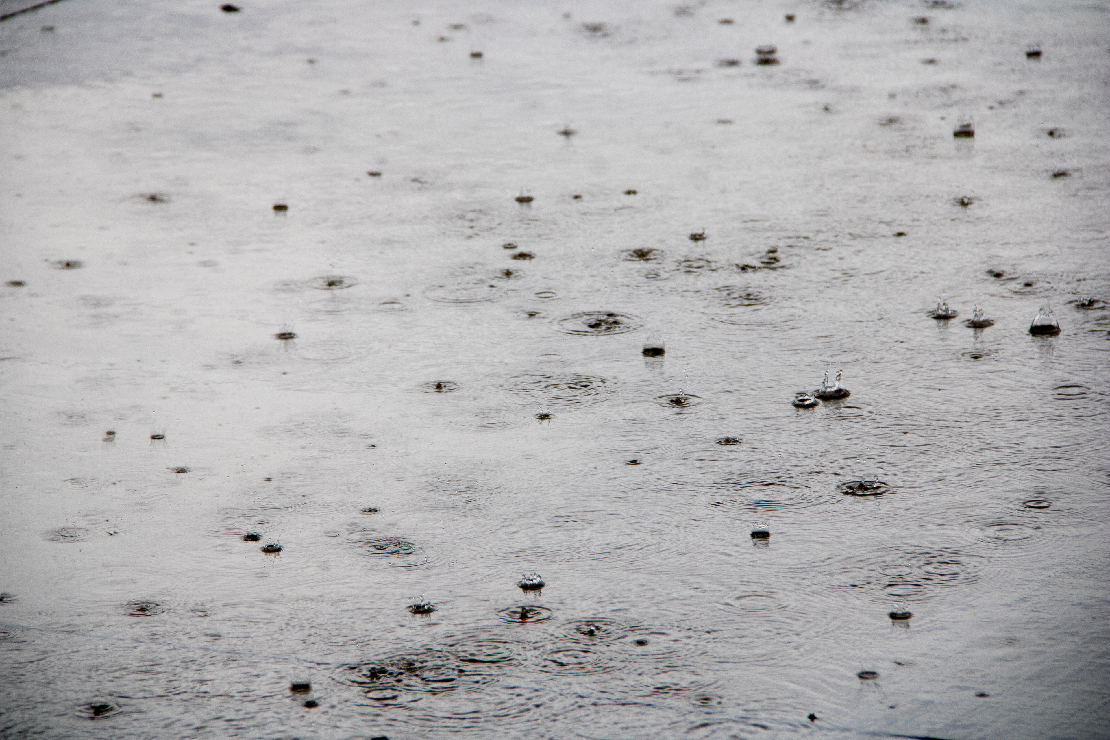 Quenched Reflections: Rain's Embrace of the Earth