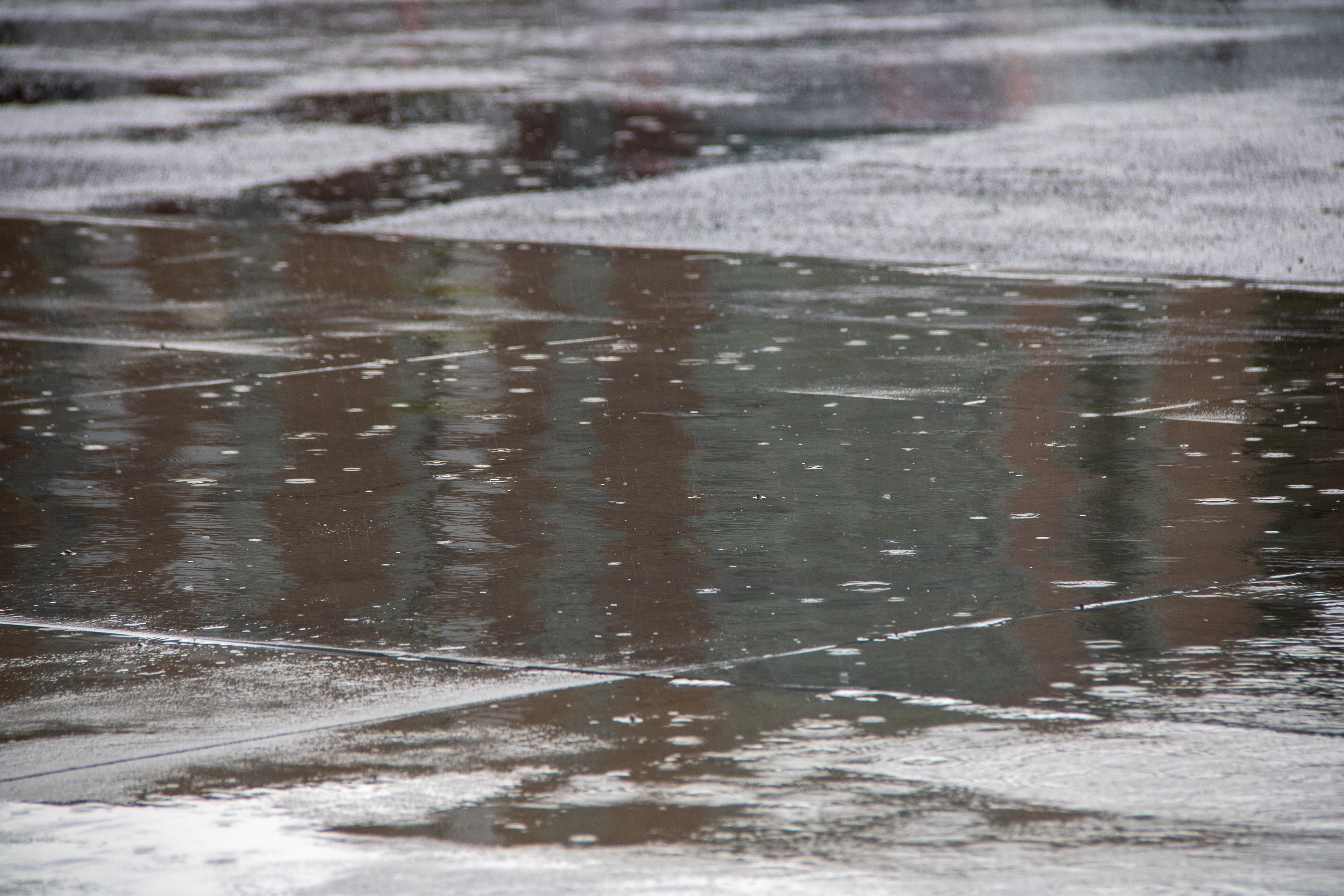 Petrichor Canvas: Rain's Brushstrokes on Earth