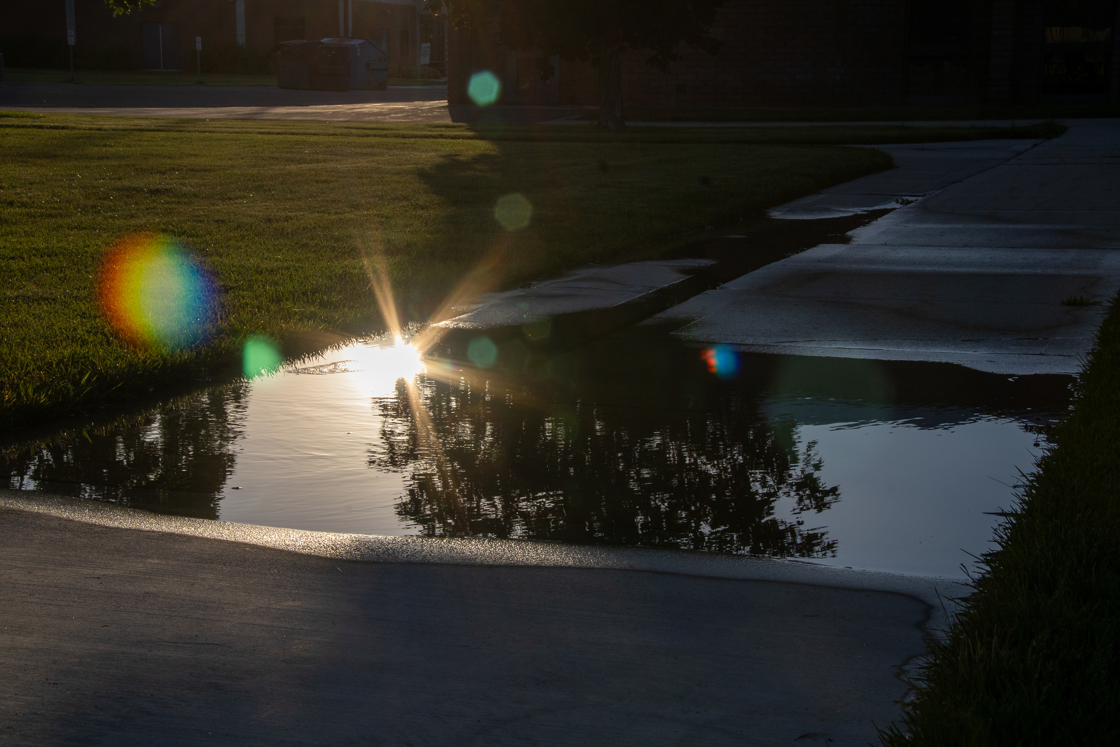 Celestial Mirage: Sunrise's Dance in the Puddle