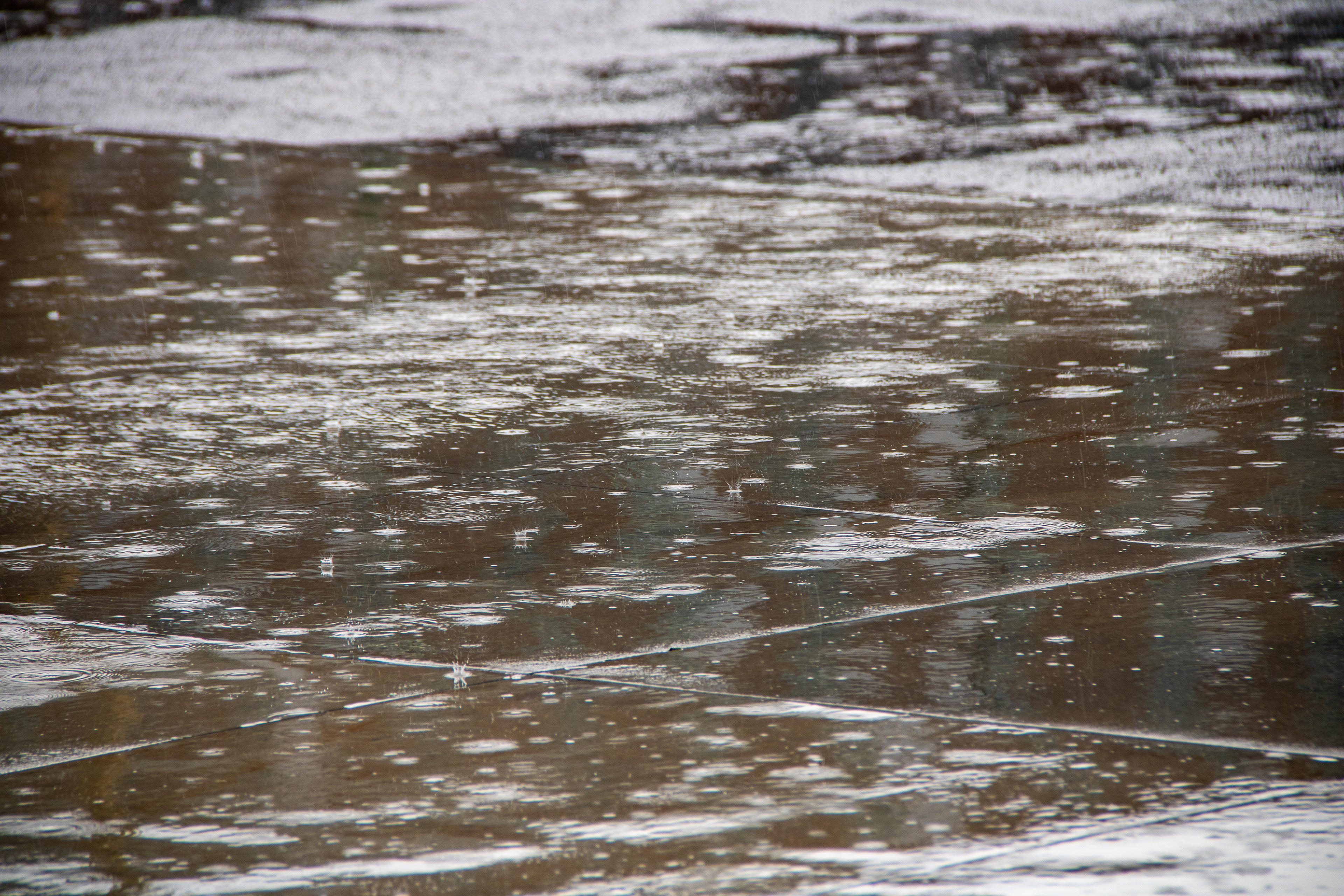 Glistening Earth: Rain's Dance upon the Ground