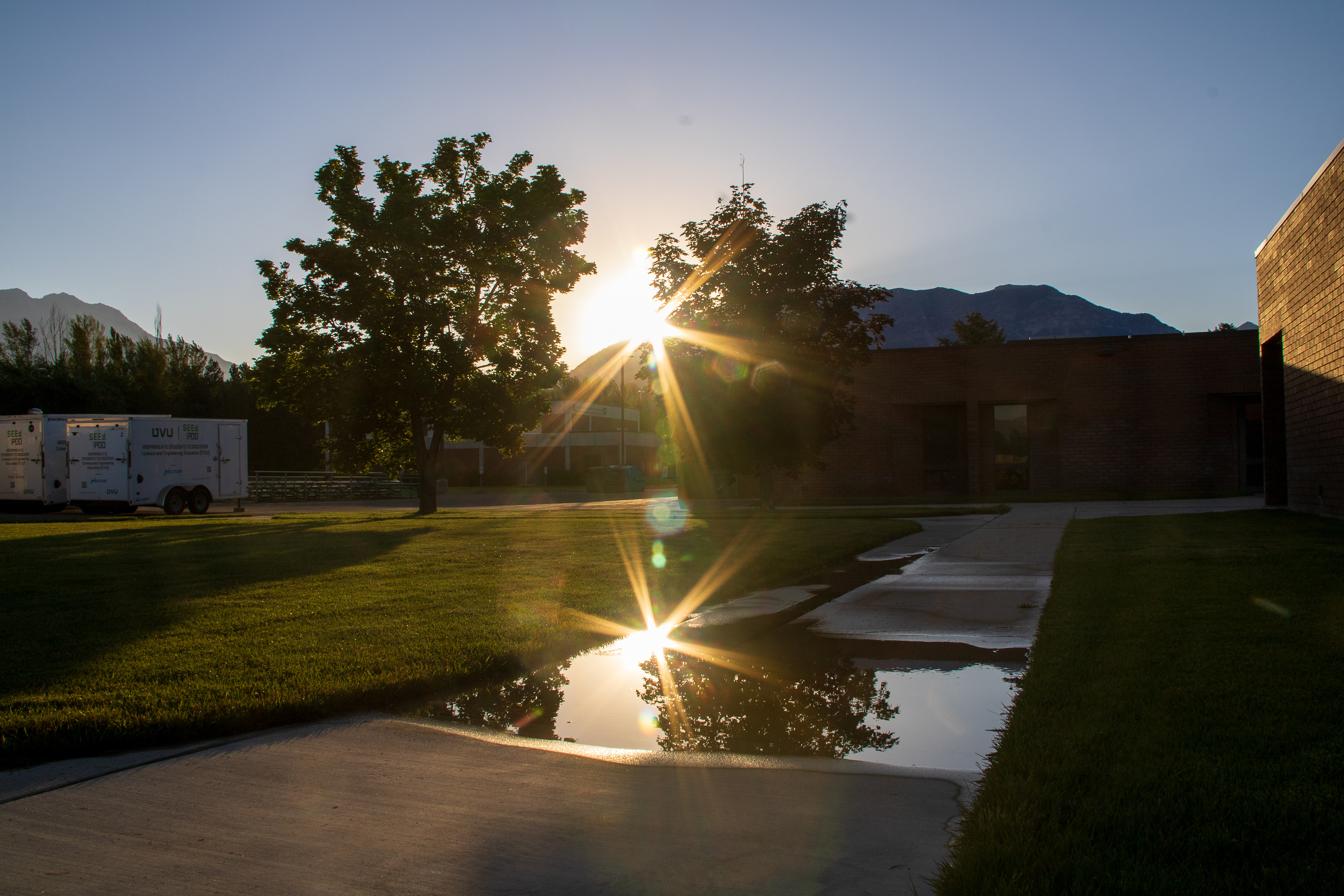 Puddle's Promise: A Sunrise Rises from Within