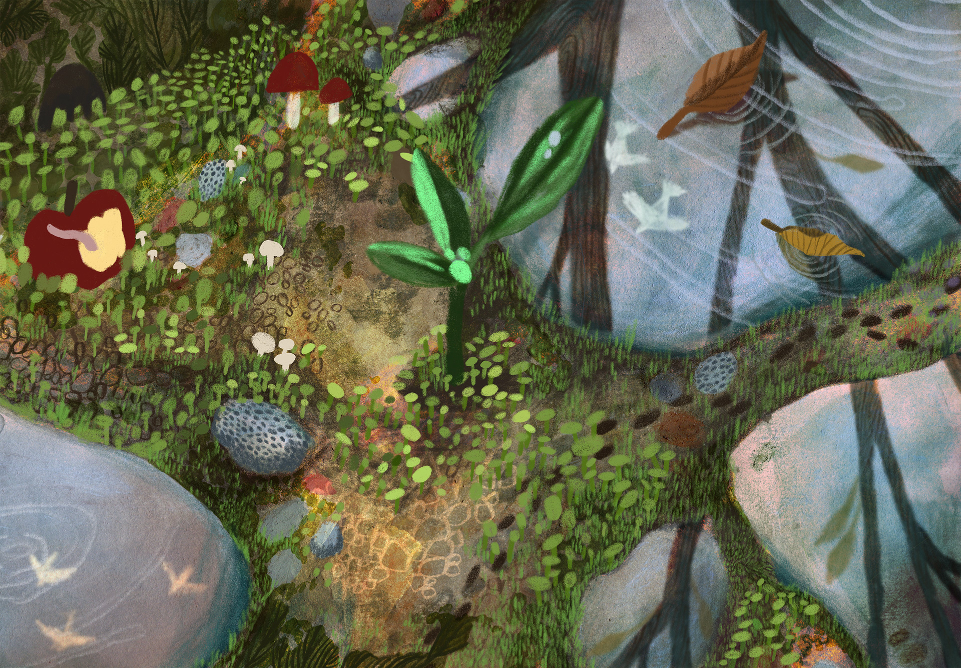 "Story of a Seed 2"
