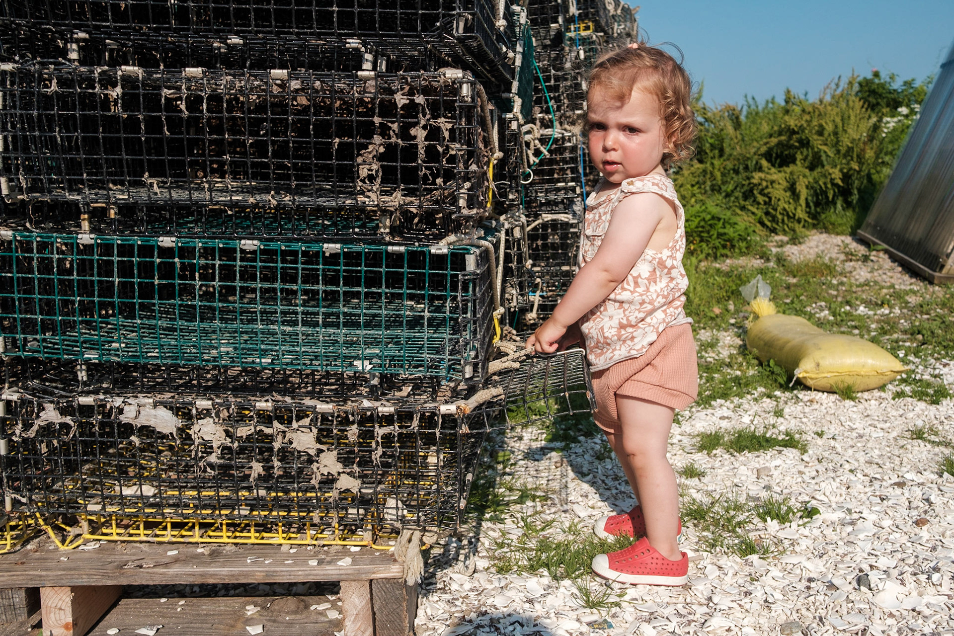 Island Creek Raw Bar