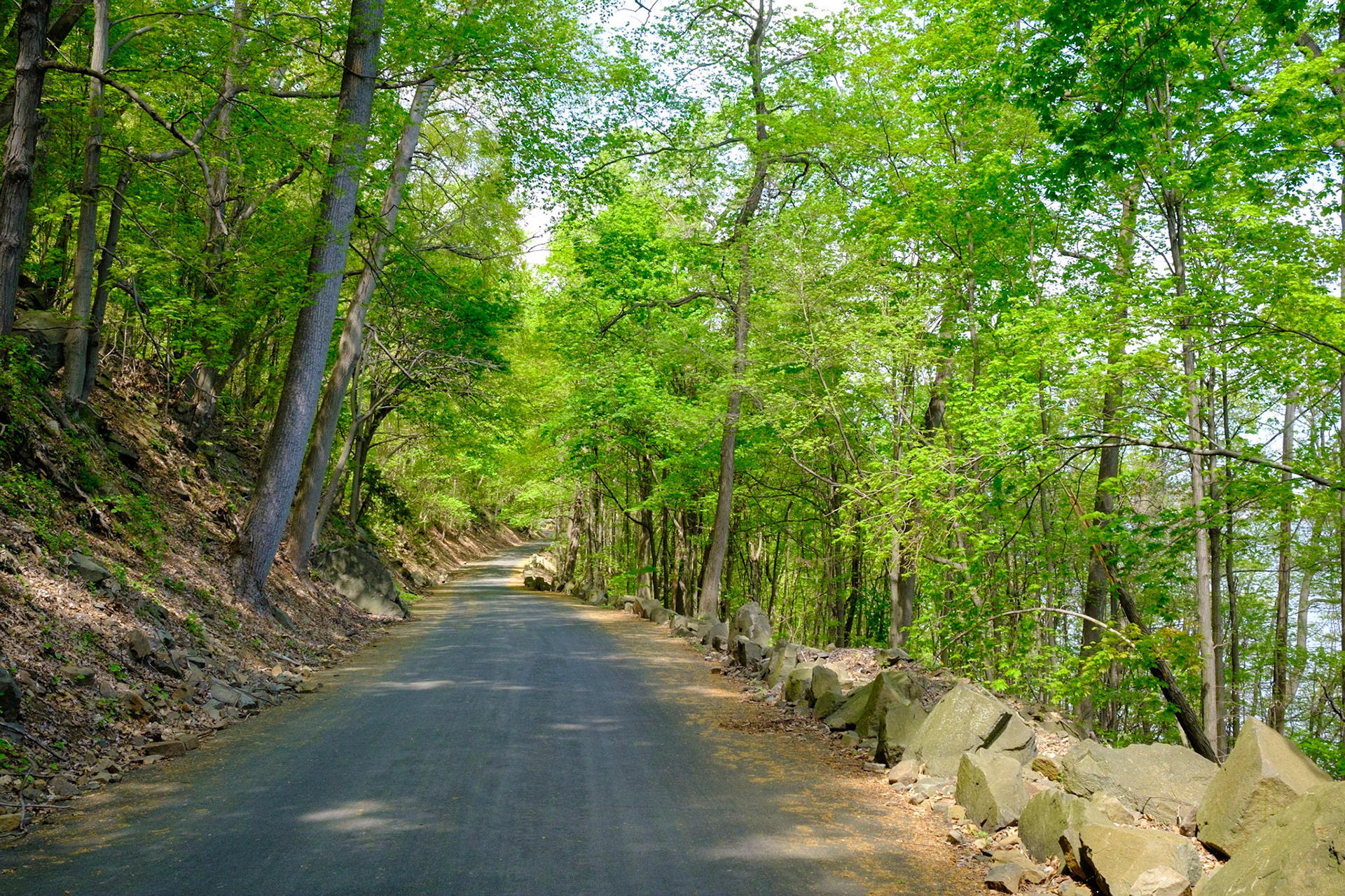 Henry Hudson Drive/Trail