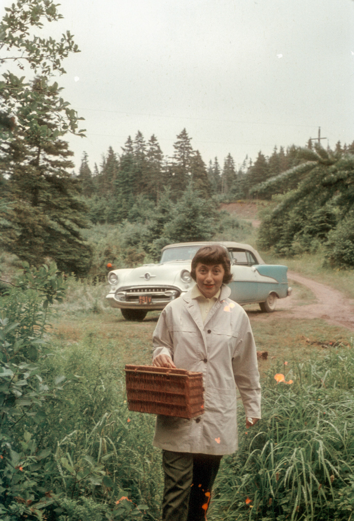 Honeymoon. Nova Scotia.1956