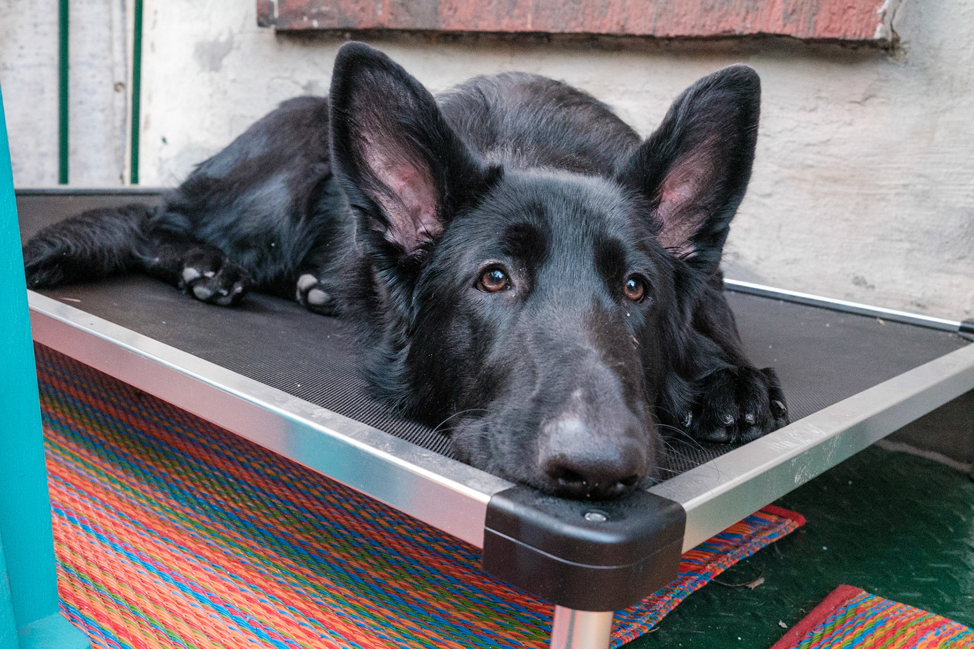 NYC for Briana and Brian's weddng shower.