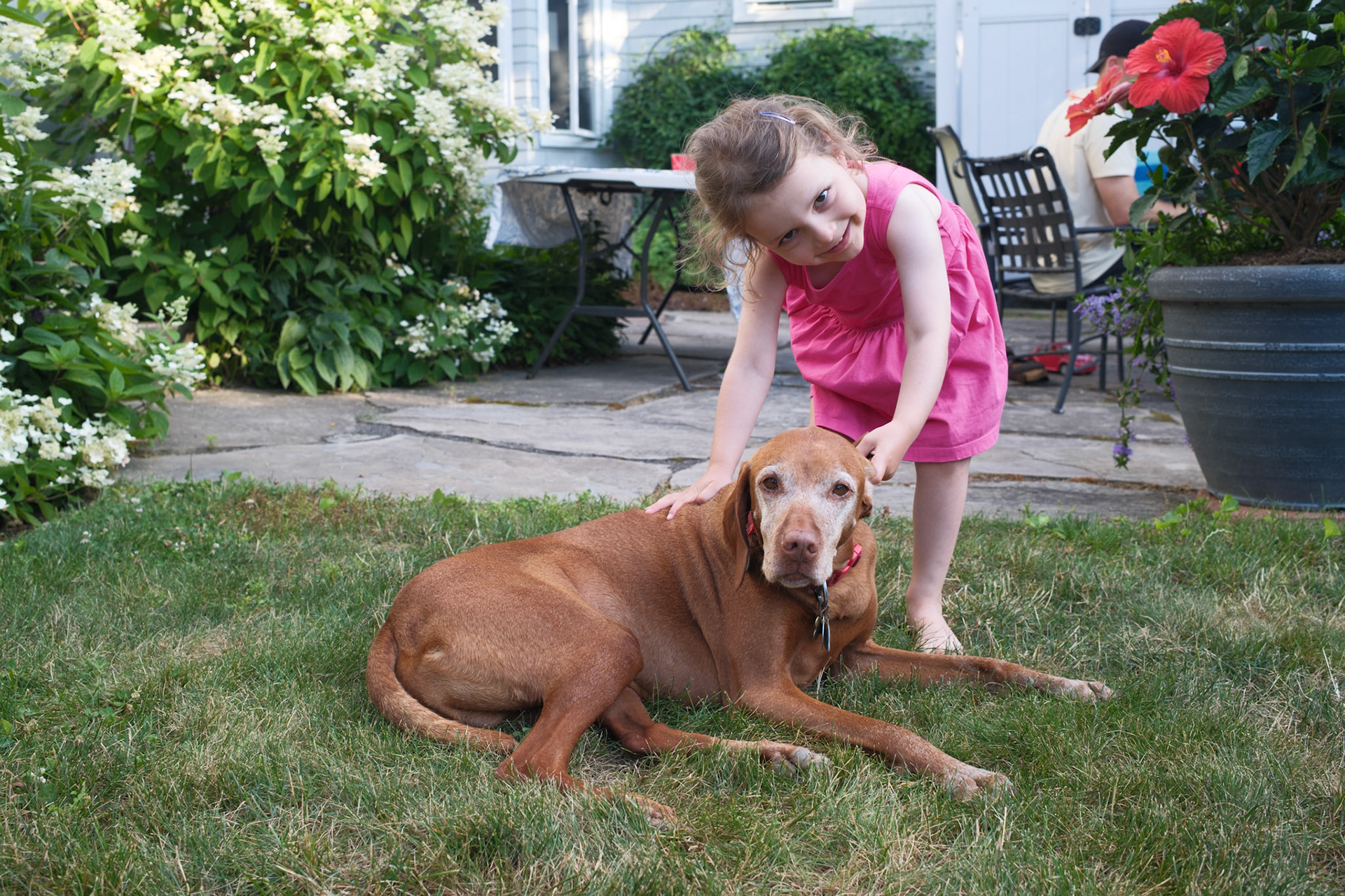 In backyard with Bodi