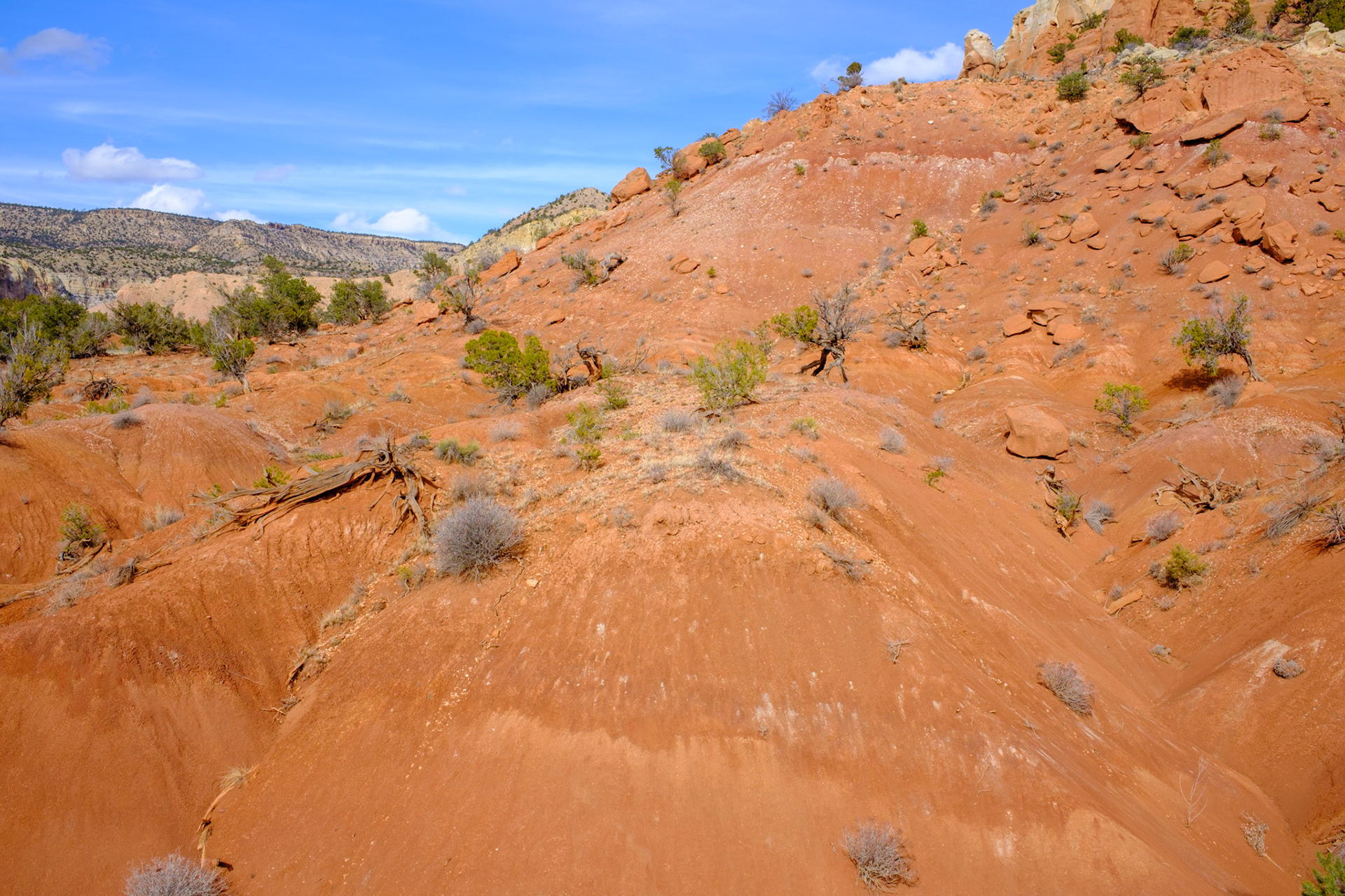 Ghost Ranch, Abiquiu, NM