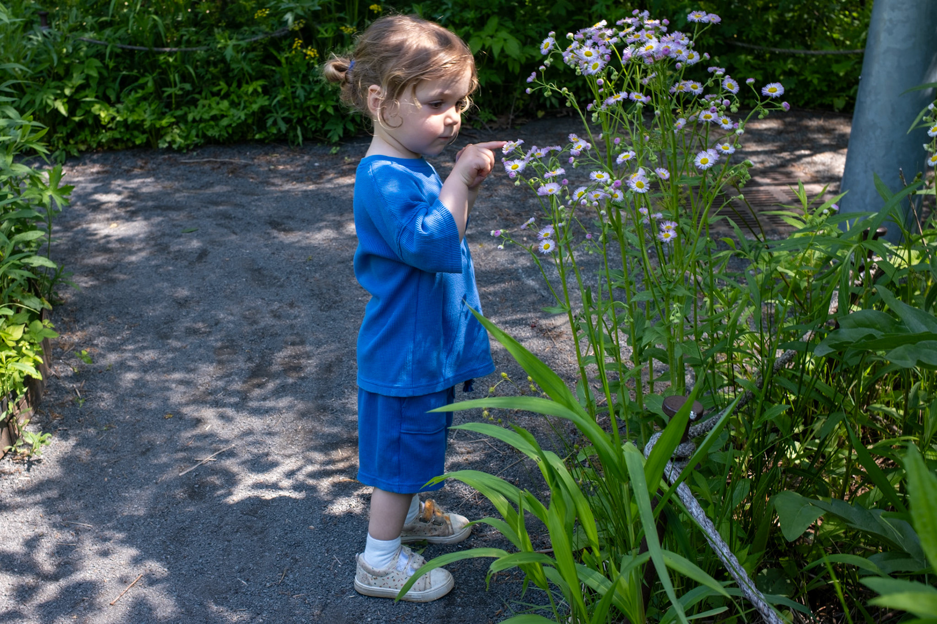 Brooklyn Botanic Garden