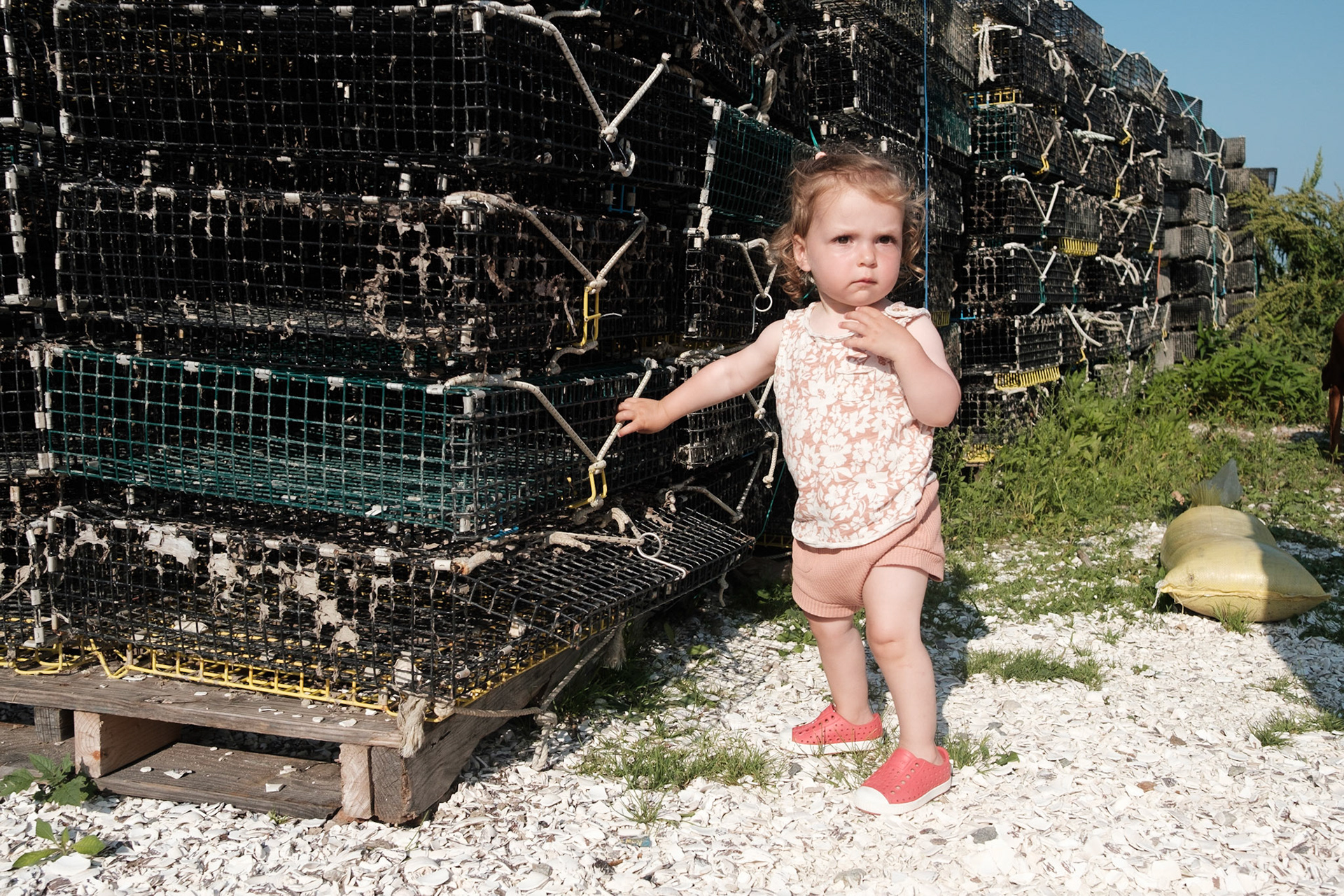 Island Creek Raw Bar