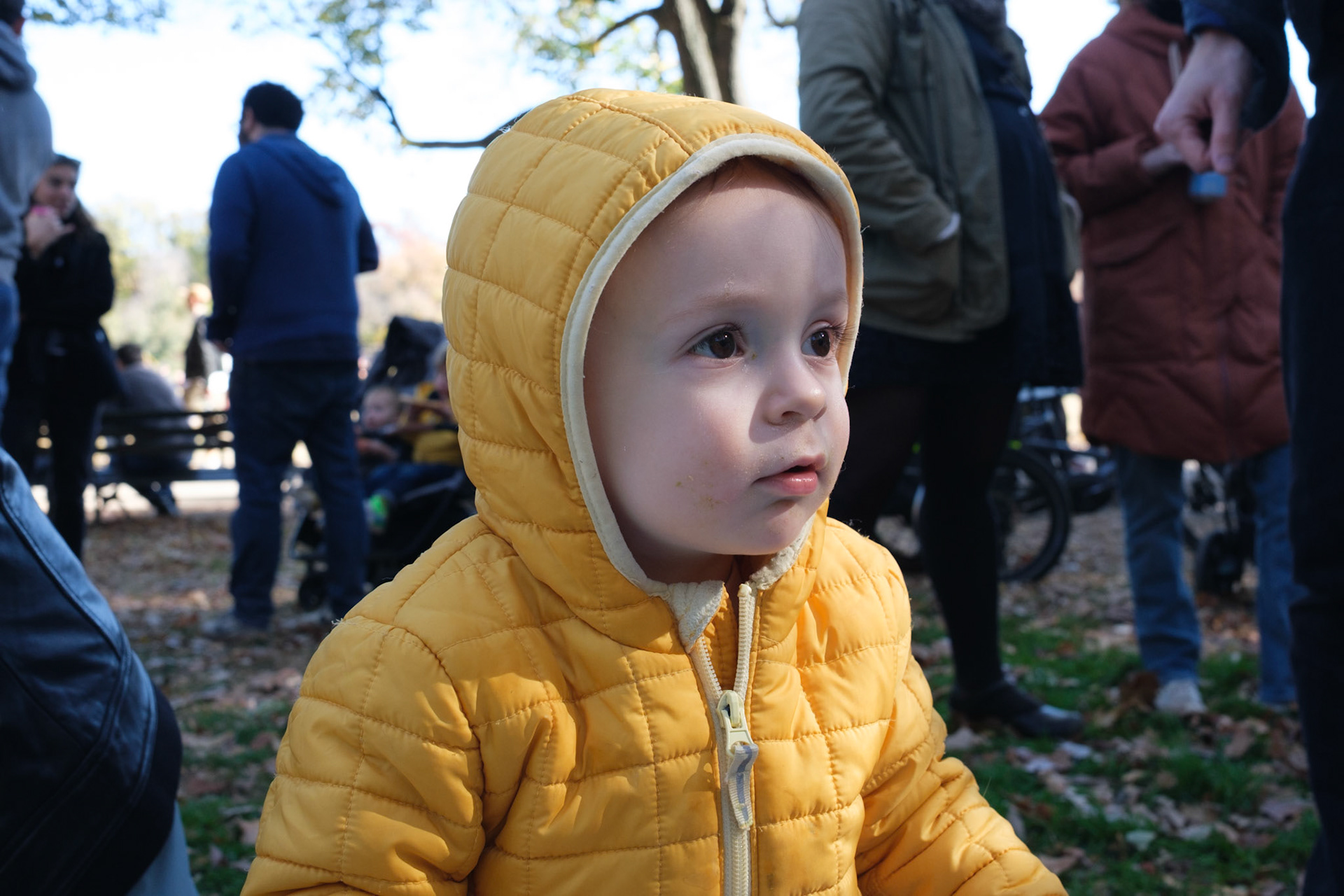 Willa's 3rd Birthday