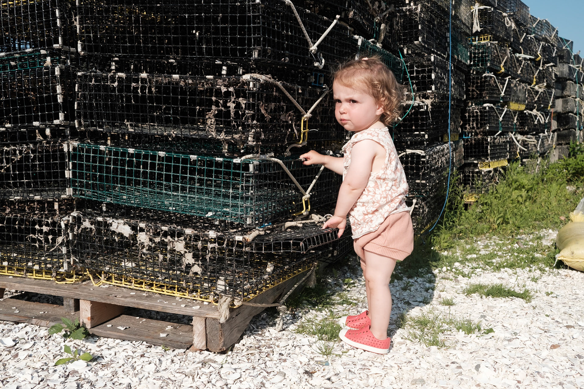 Island Creek Raw Bar