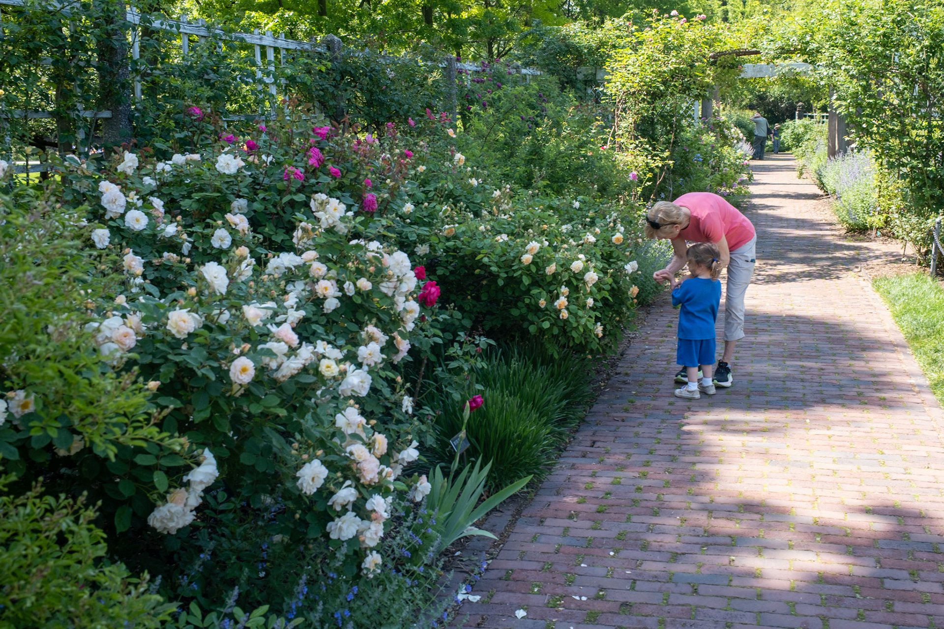 Brooklyn Botanic Garden