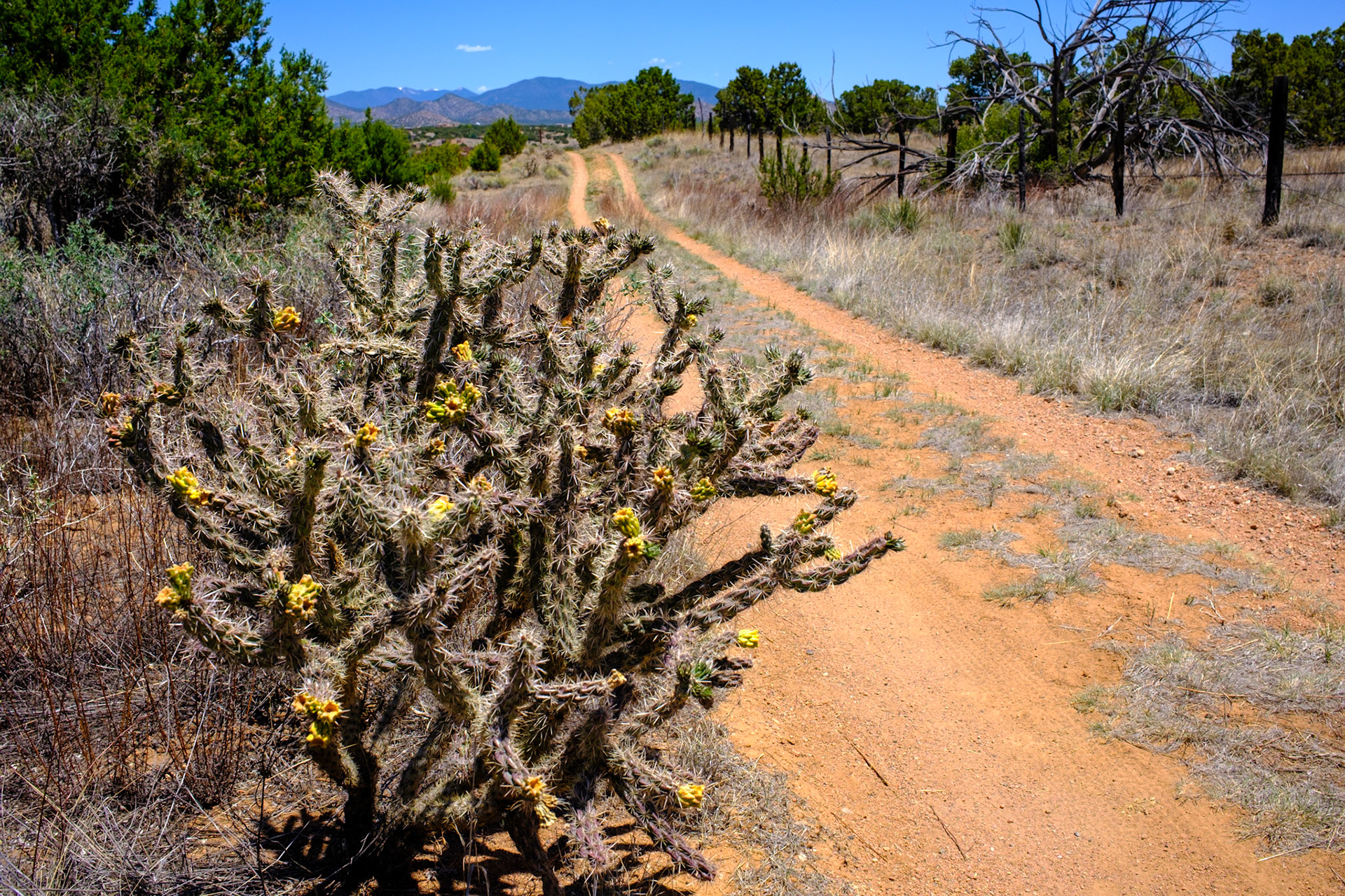 Santa Fe Rail Trail