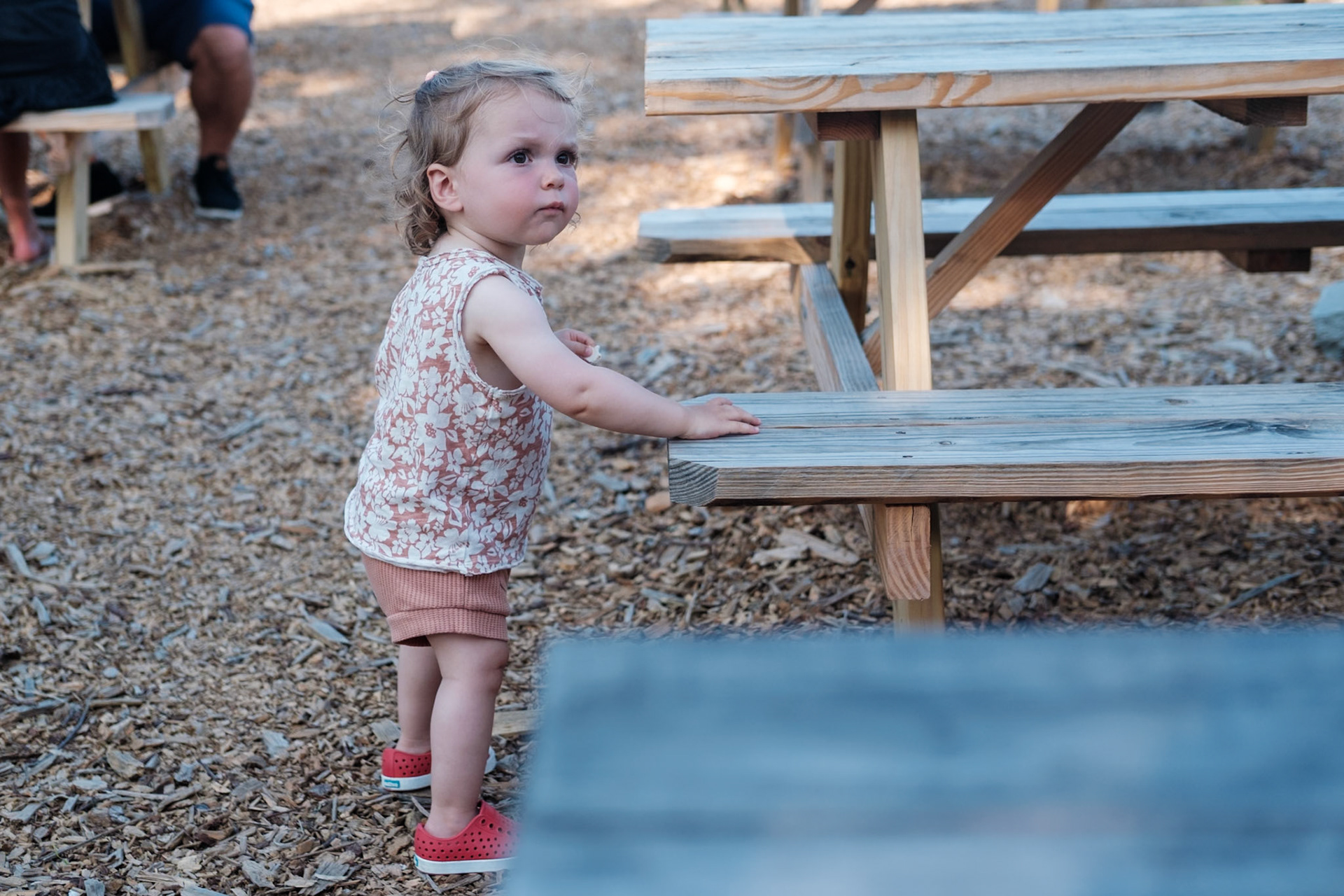 Island Creek Raw Bar