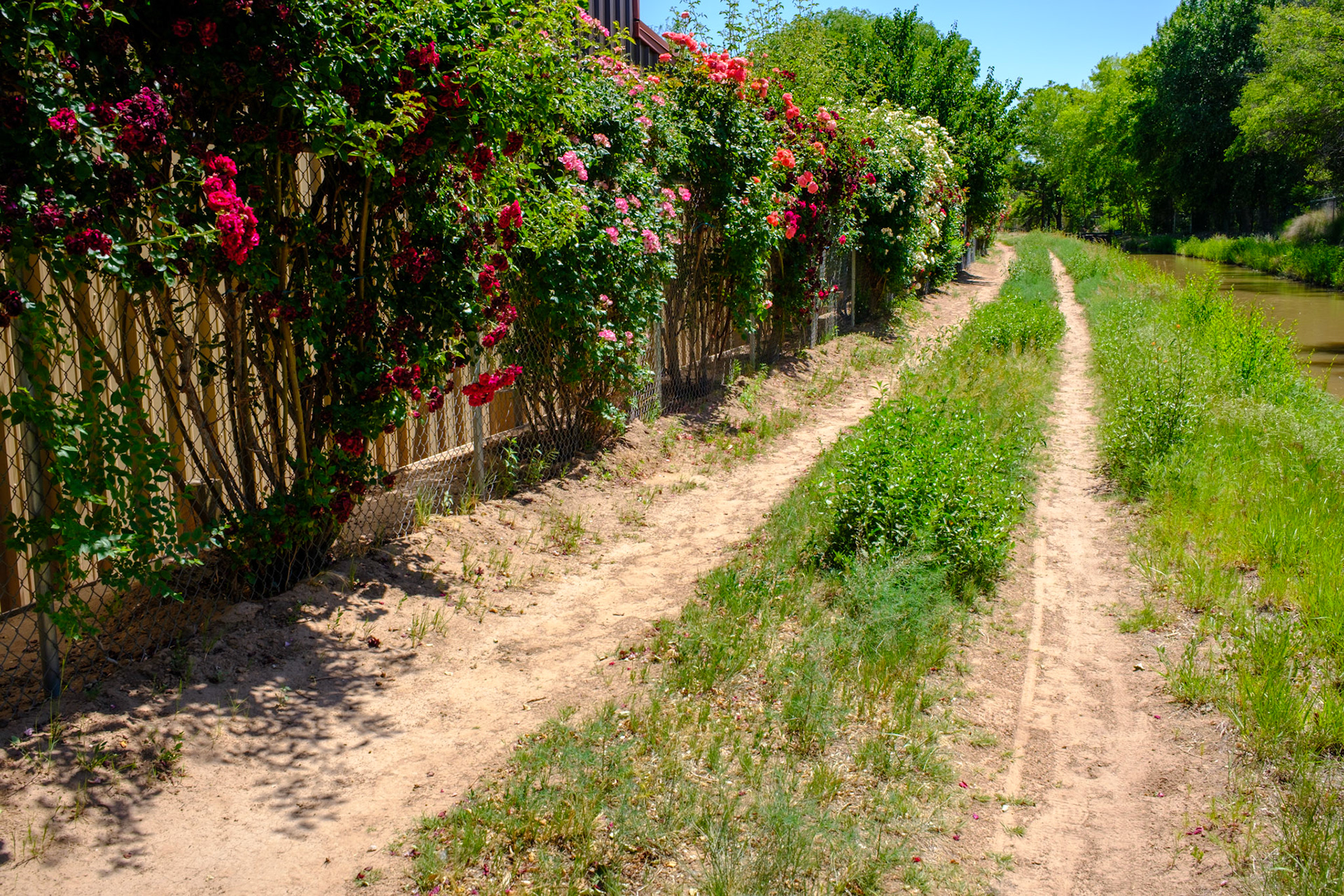 Paseo del Bosque Traill, Los Ranchos De Albuquerque