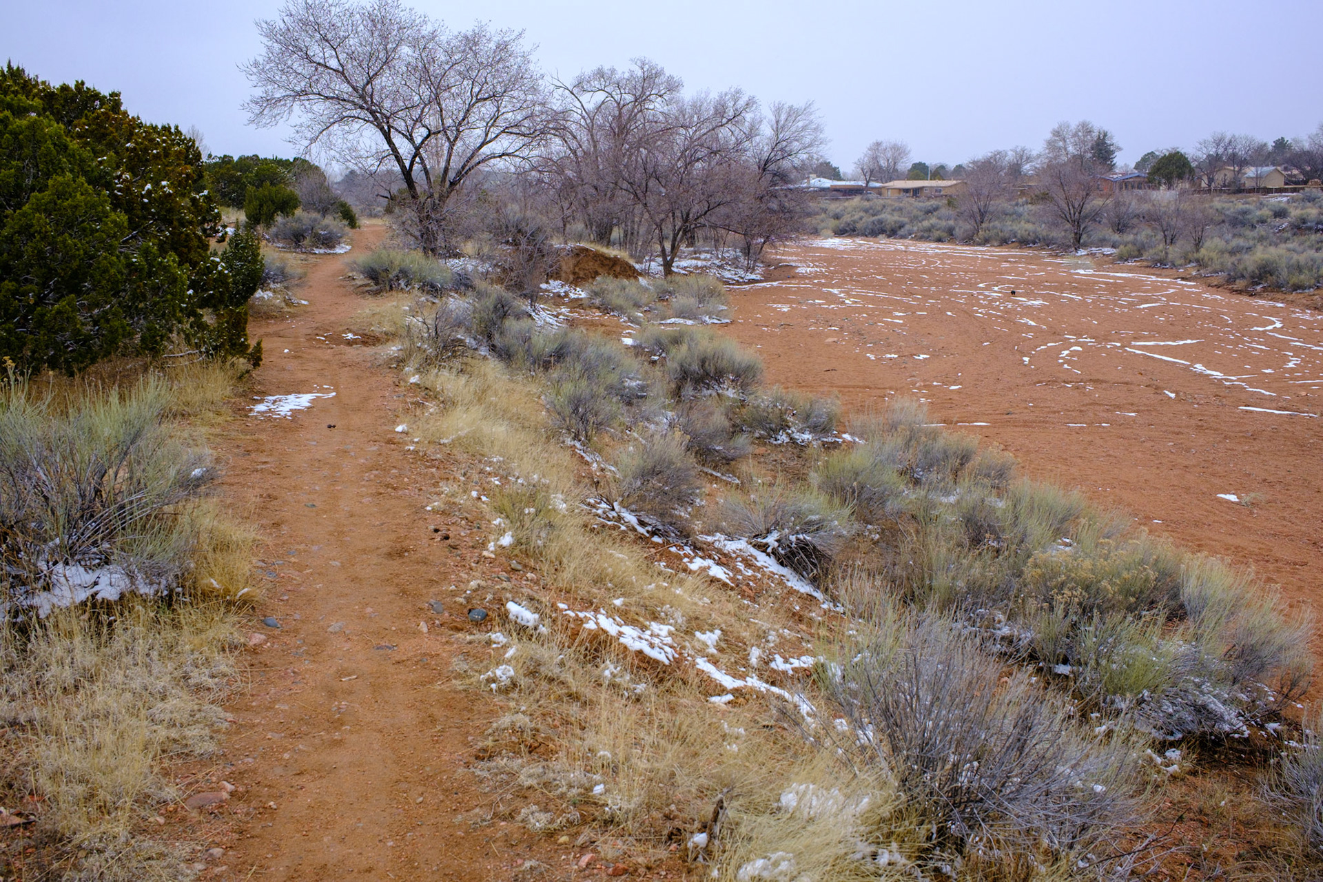 Arroyo de los Chamisos Trail
