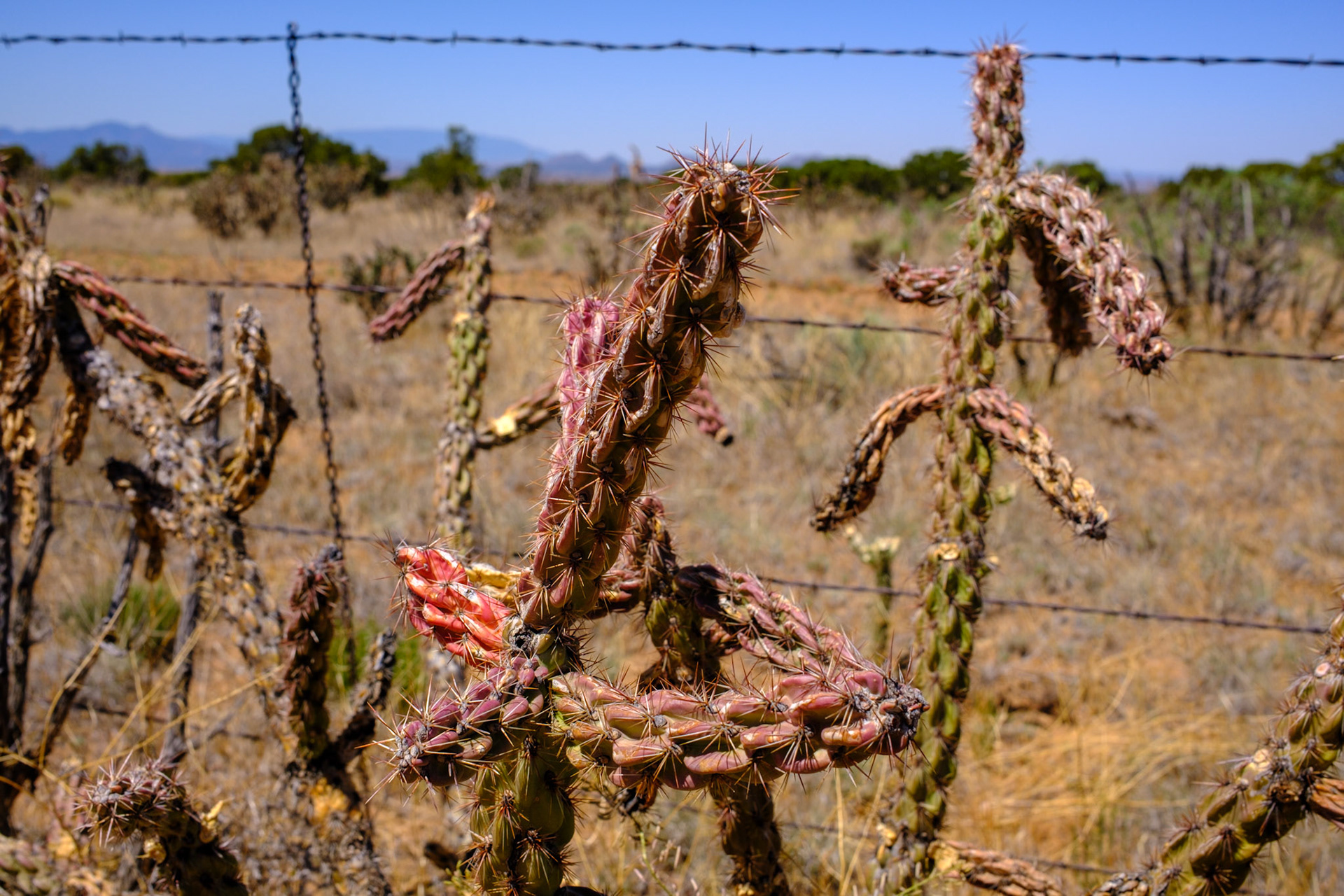 Santa Fe Rail Trail